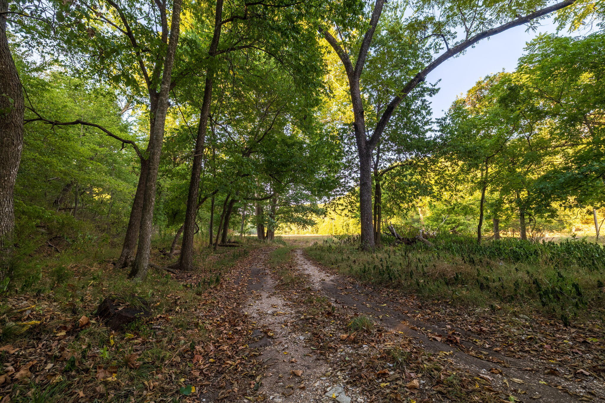 0000 State Highway 90 Property Photo 38