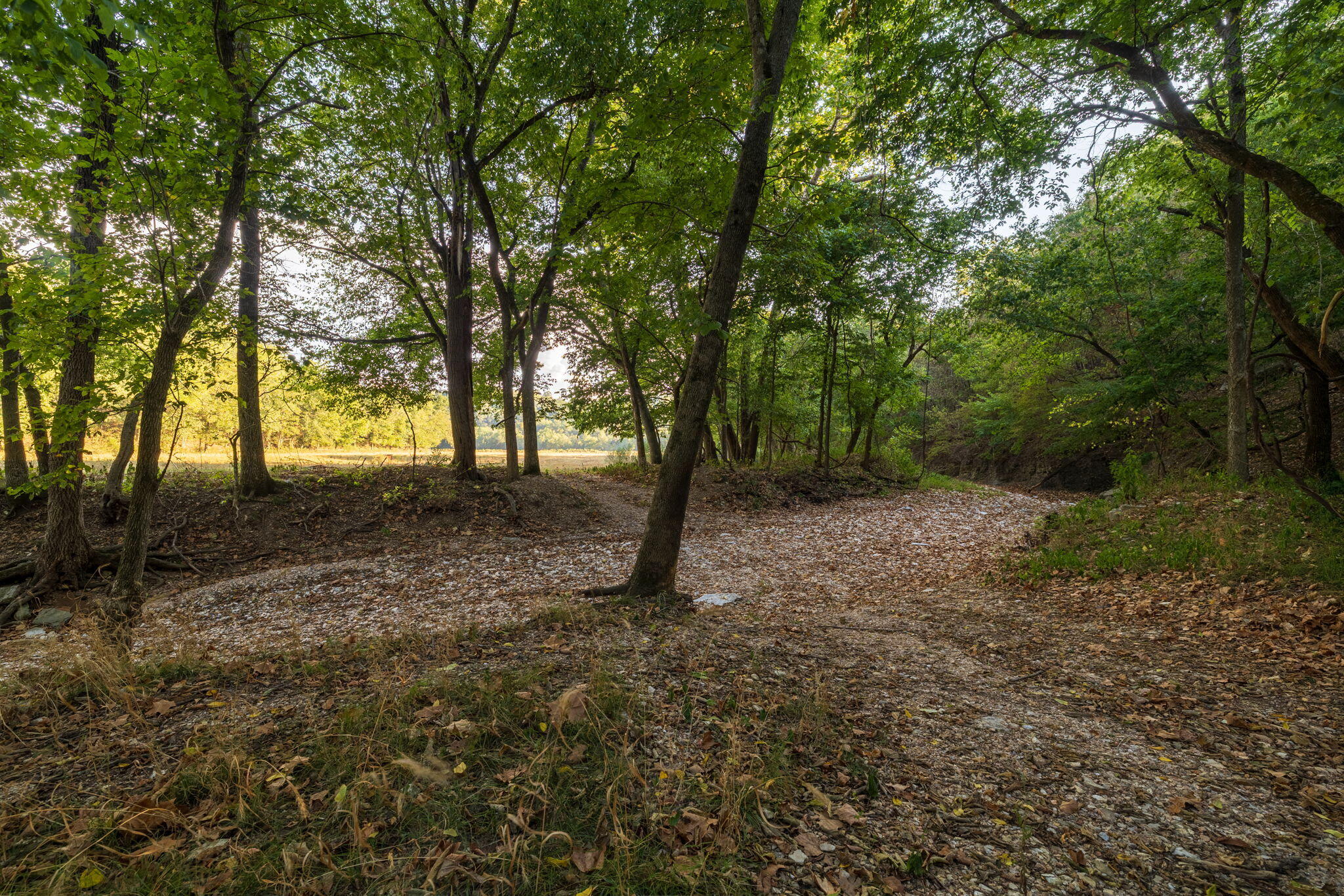 0000 State Highway 90 Property Photo 39