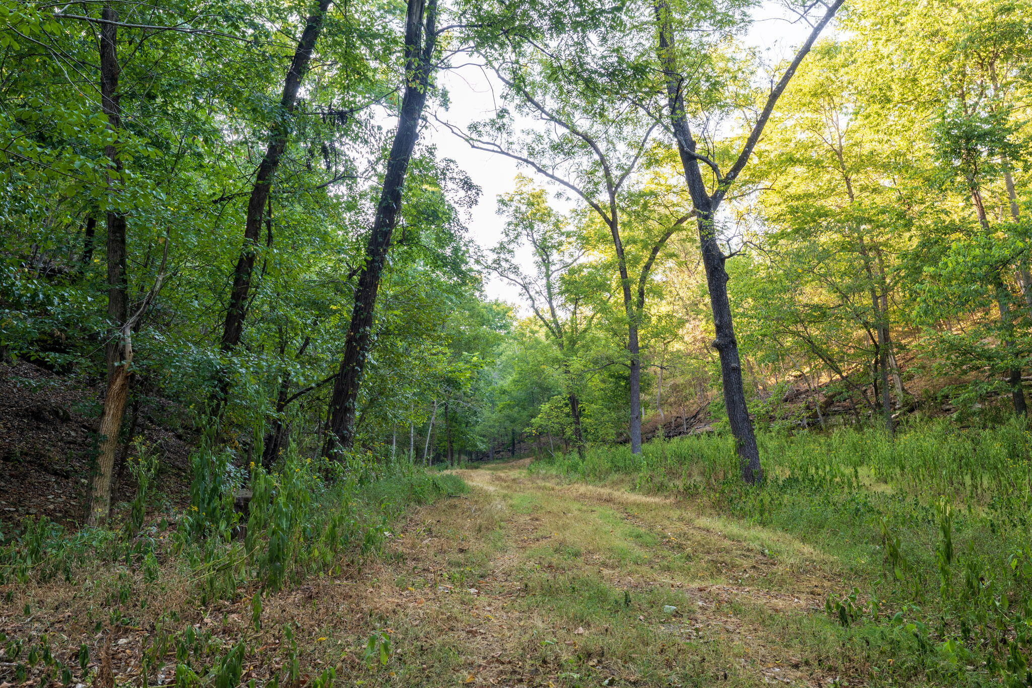 0000 State Highway 90 Property Photo 40