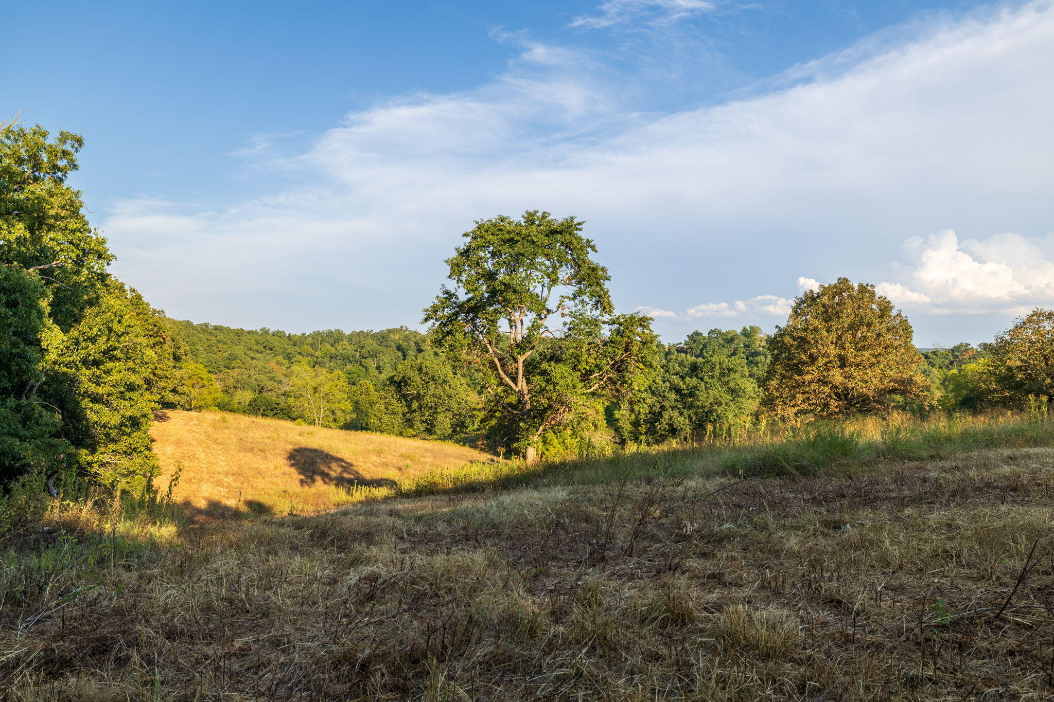 0000 State Highway 90 Property Photo 43