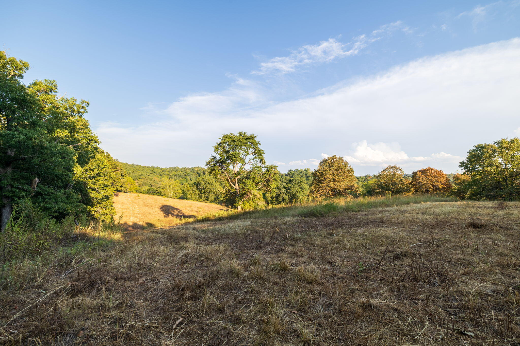 0000 State Highway 90 Property Photo 44