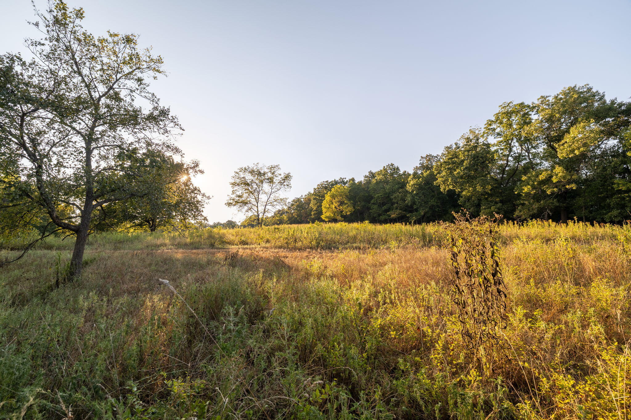 0000 State Highway 90 Property Photo 47