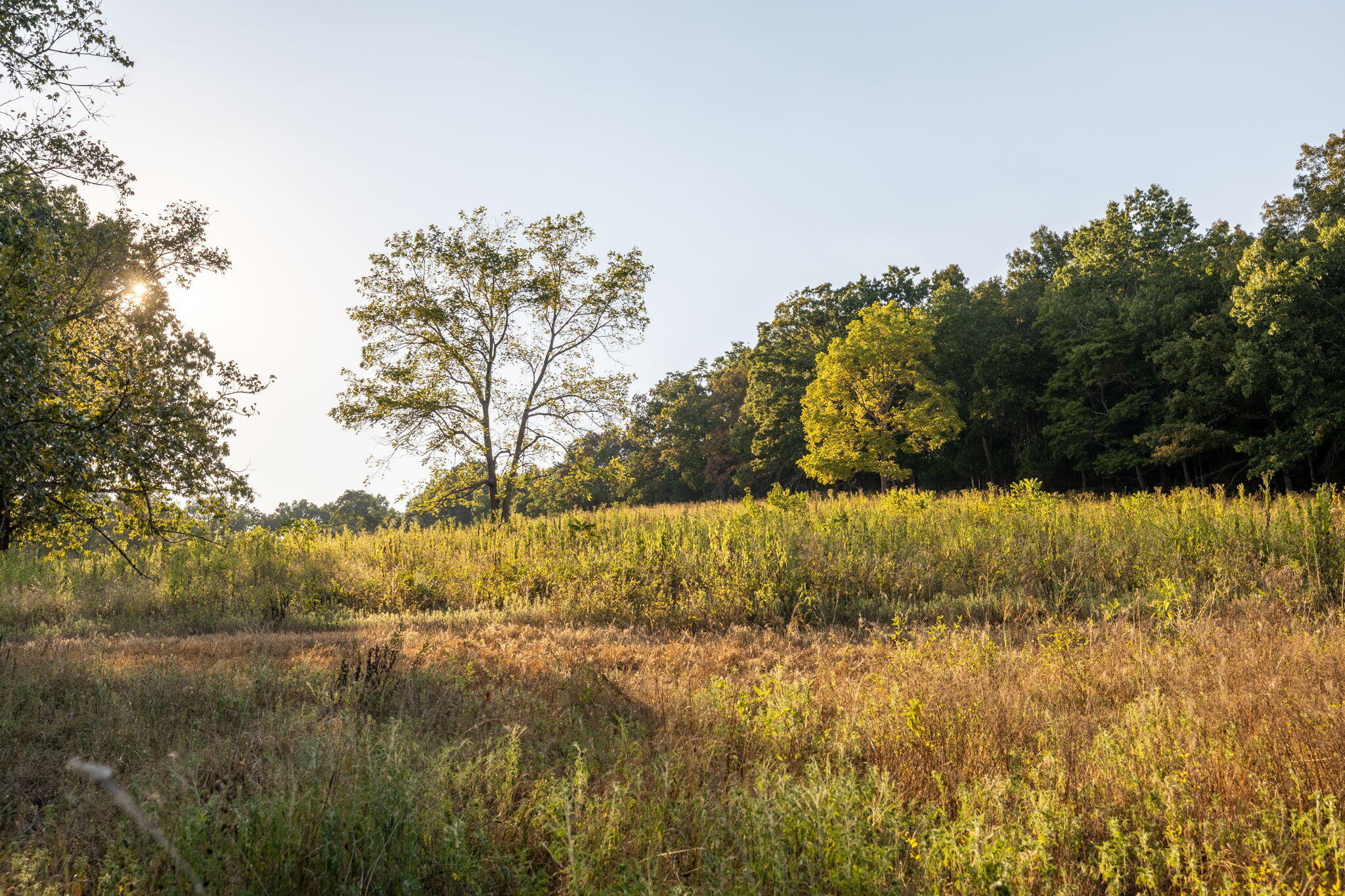 0000 State Highway 90 Property Photo 48