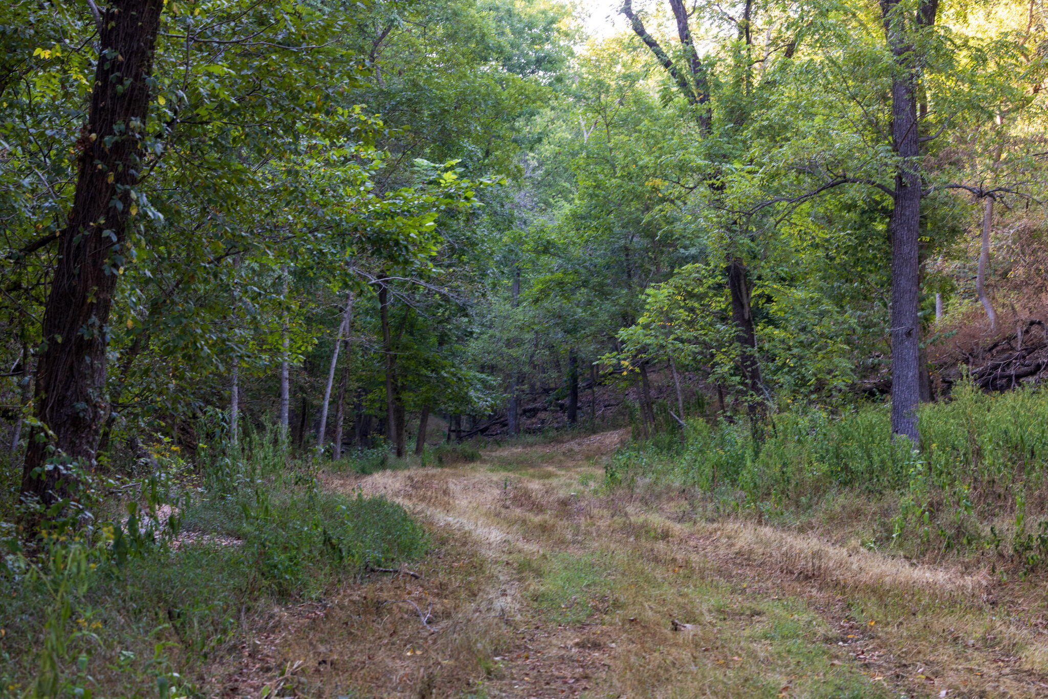 0000 State Highway 90 Property Photo 53