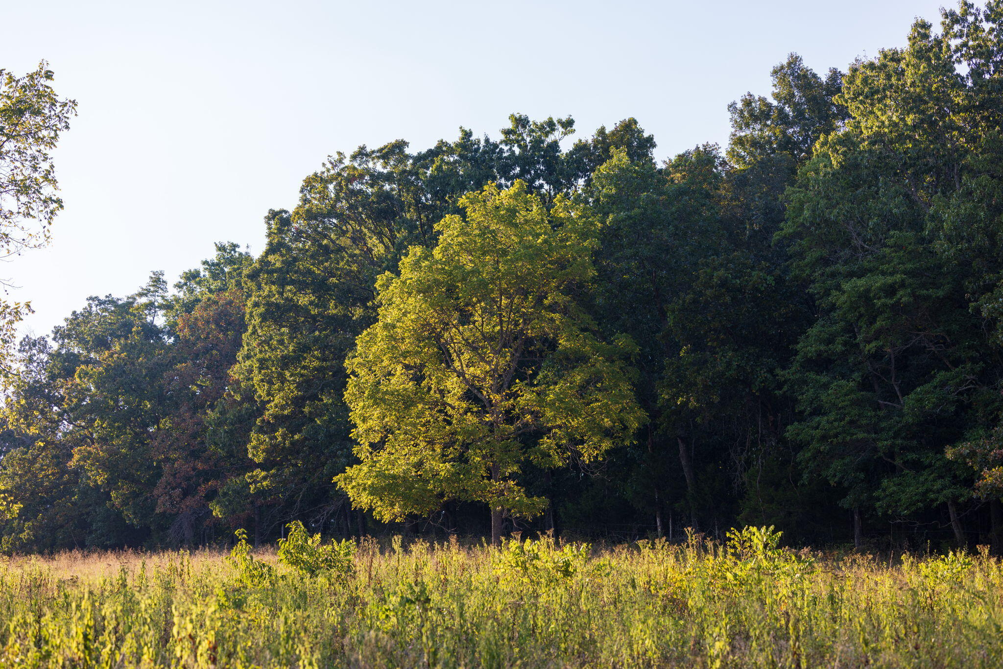 0000 State Highway 90 Property Photo 56