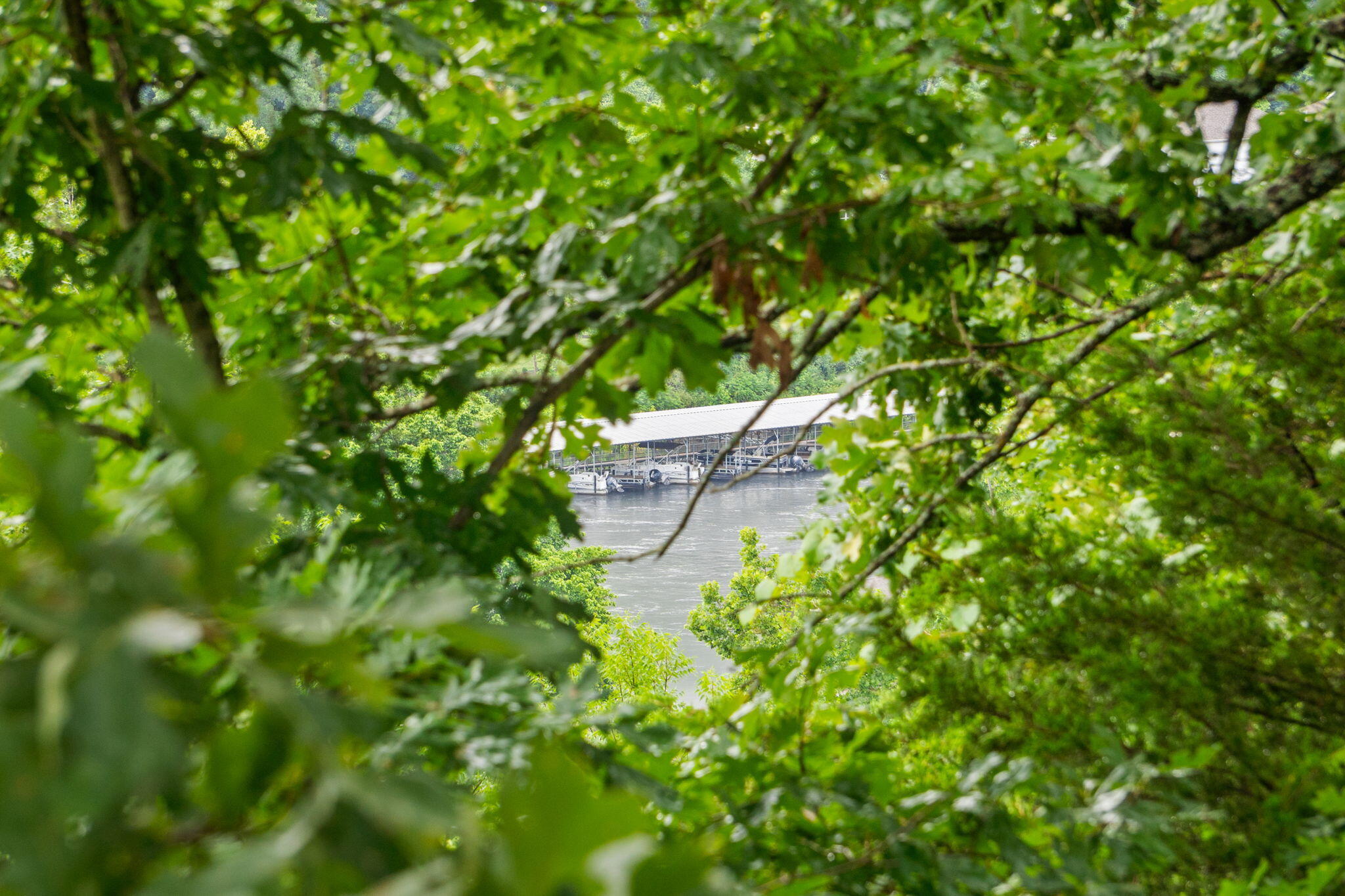 2500 Acacia Club Road Property Photo 26
