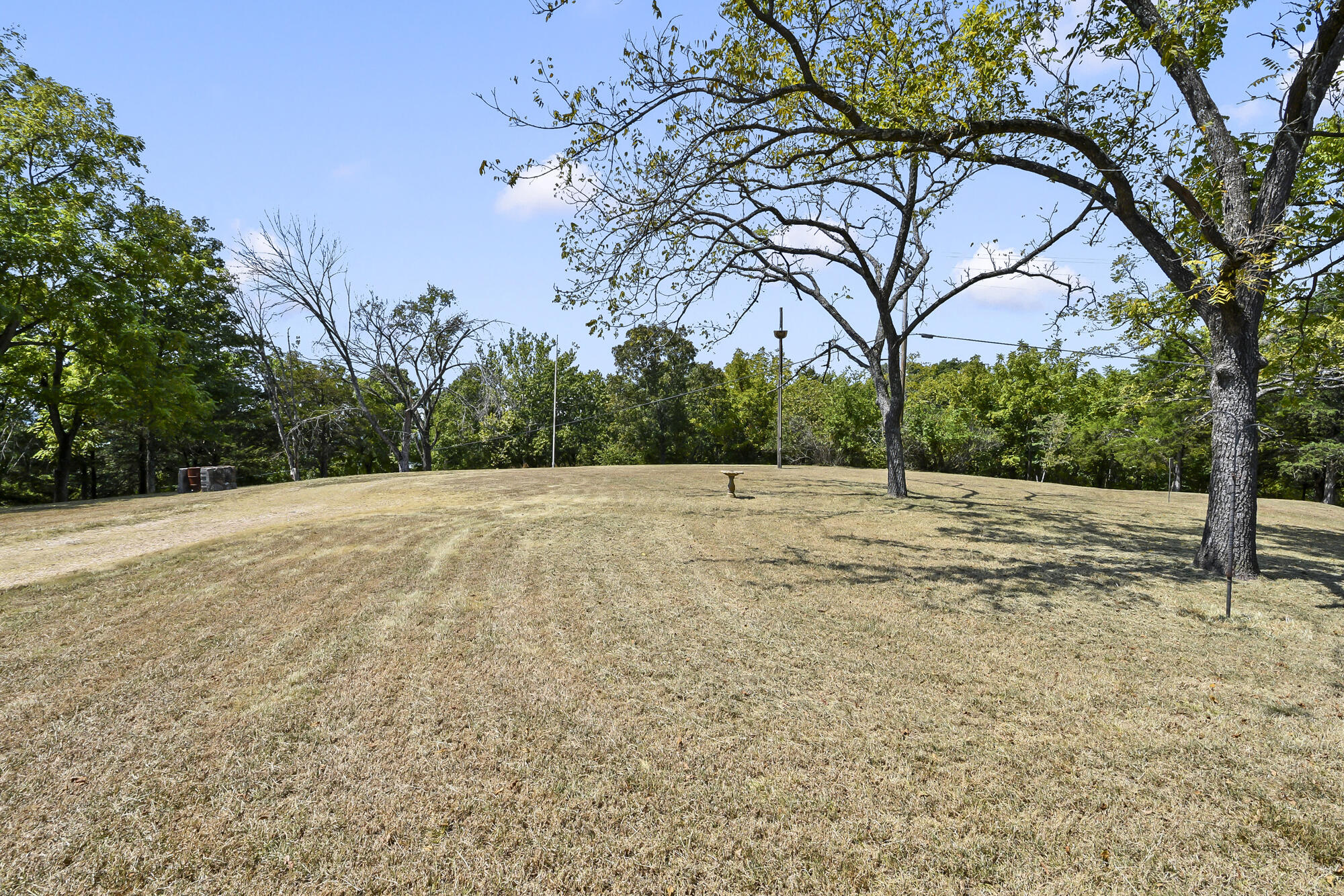 8096 State Highway Y Property Photo 10