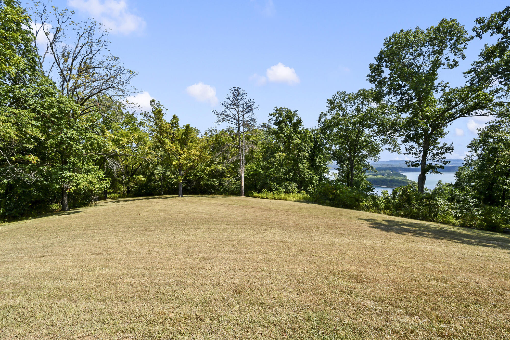 8096 State Highway Y Property Photo 46