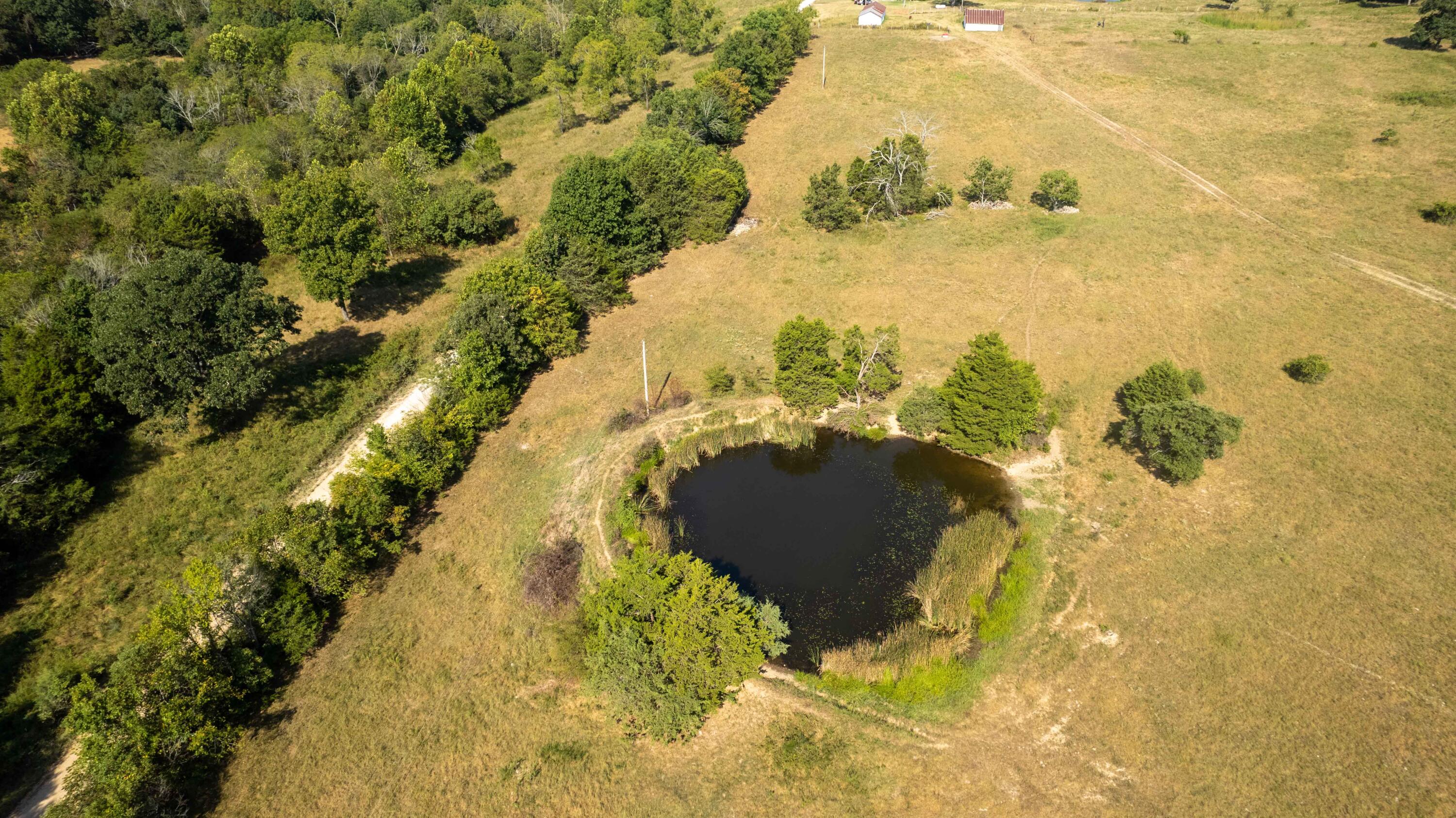 206 Co Road A-425 Property Photo 18