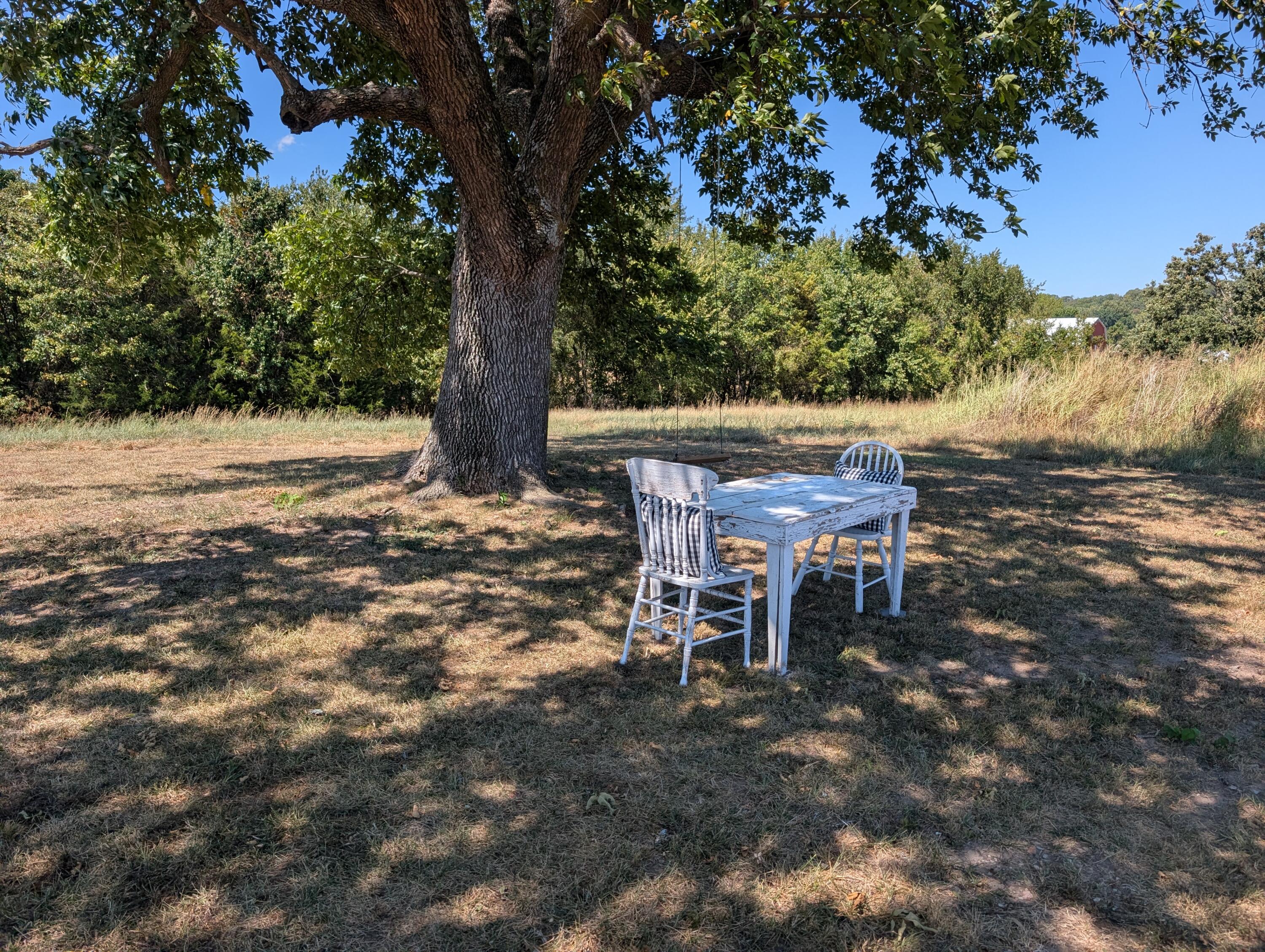 15049 Highway Tt Property Photo 34