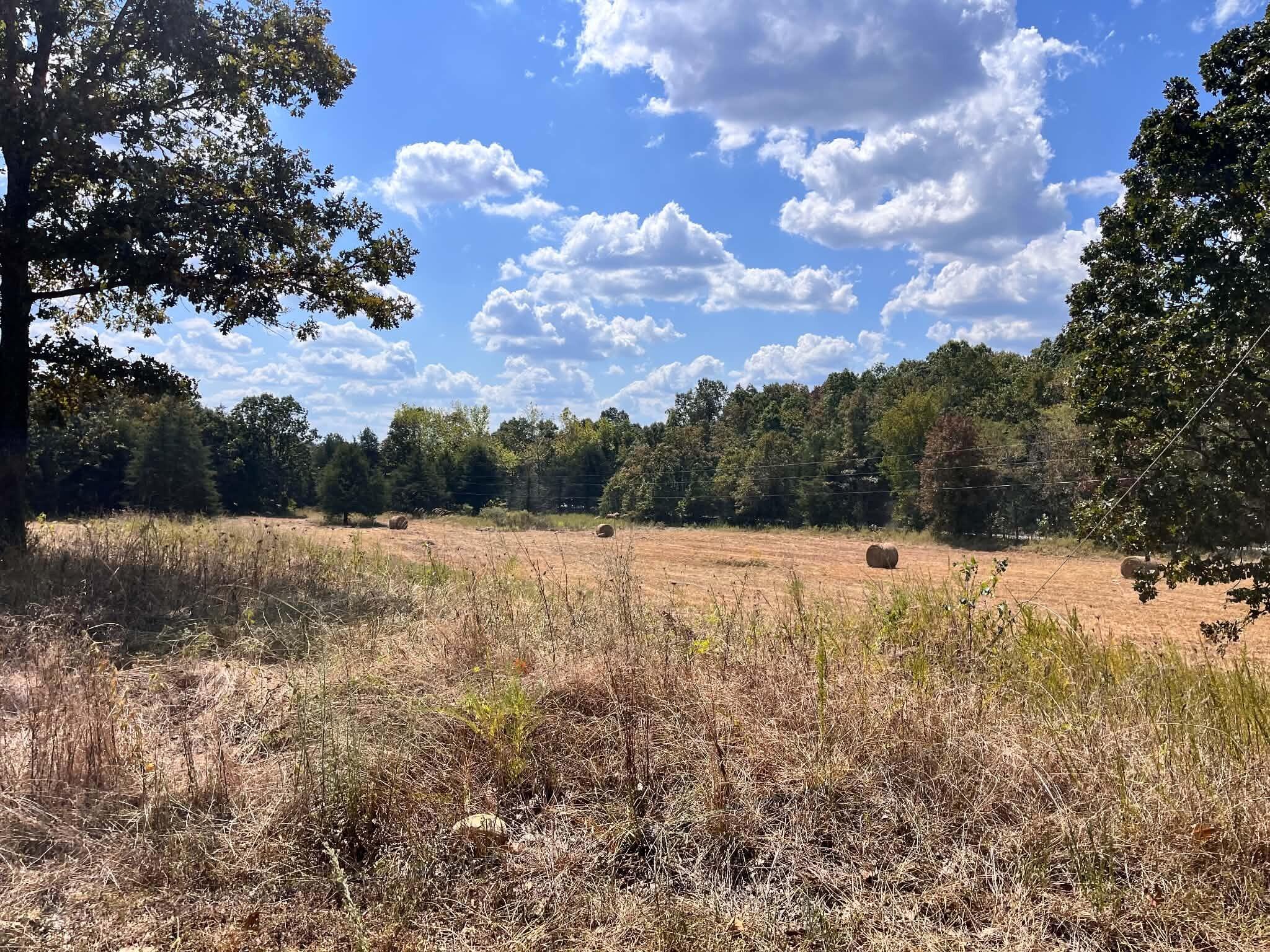 3065 North Camp Creek Road Property Photo 14
