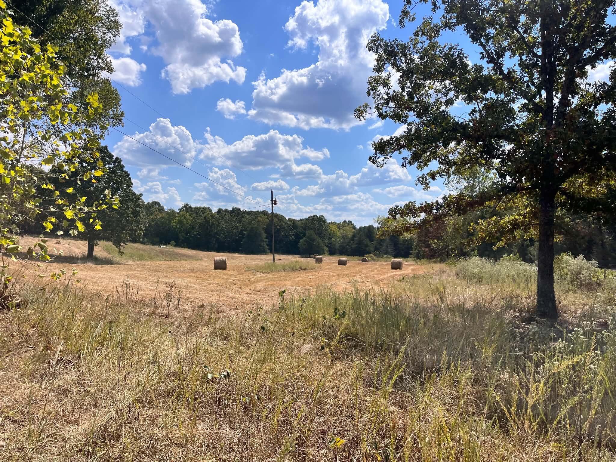 3065 North Camp Creek Road Property Photo 15