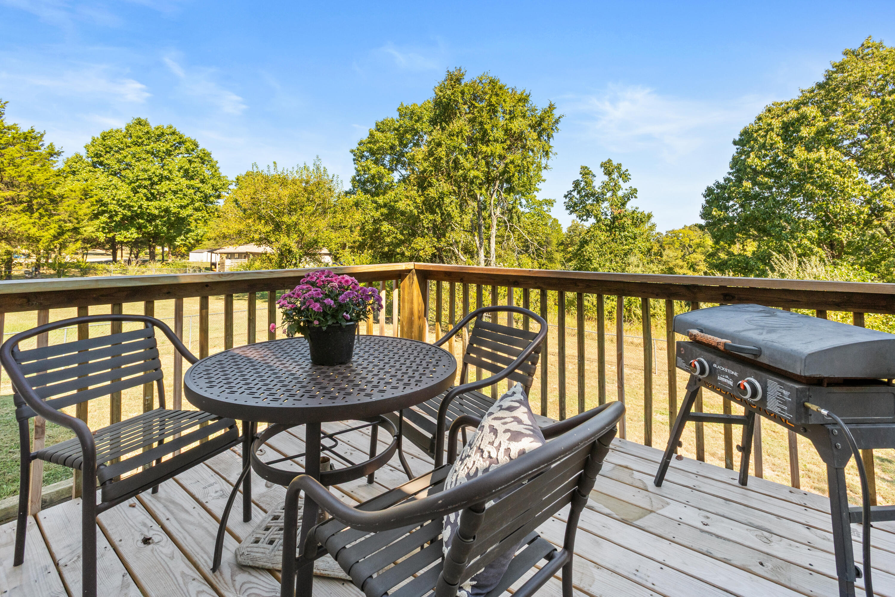 118 Pickett Ridge Court Property Photo 25