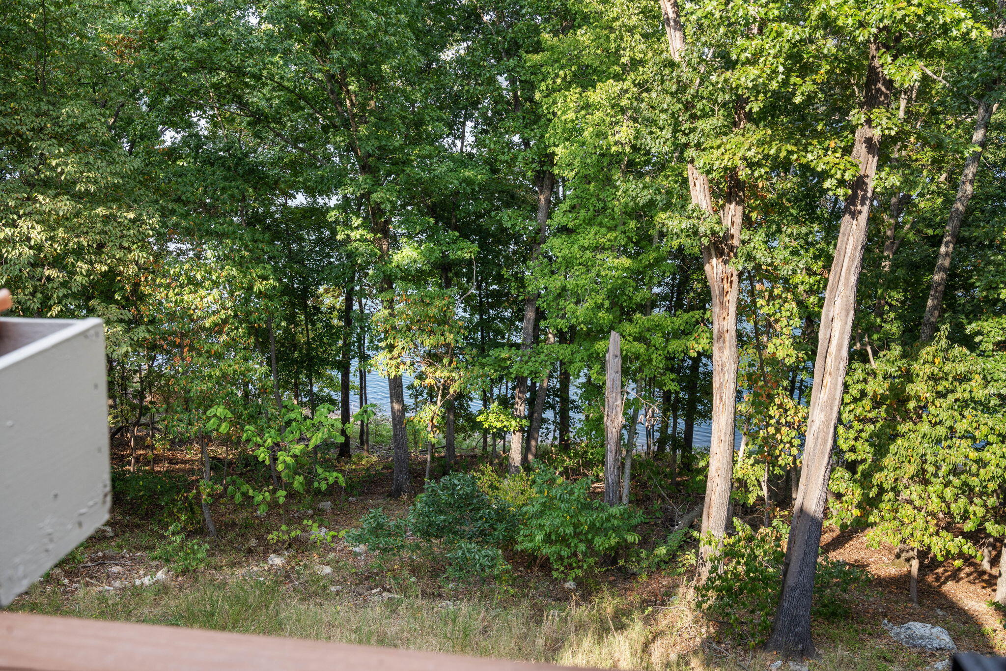 24138 Mustang Lane Property Photo 31