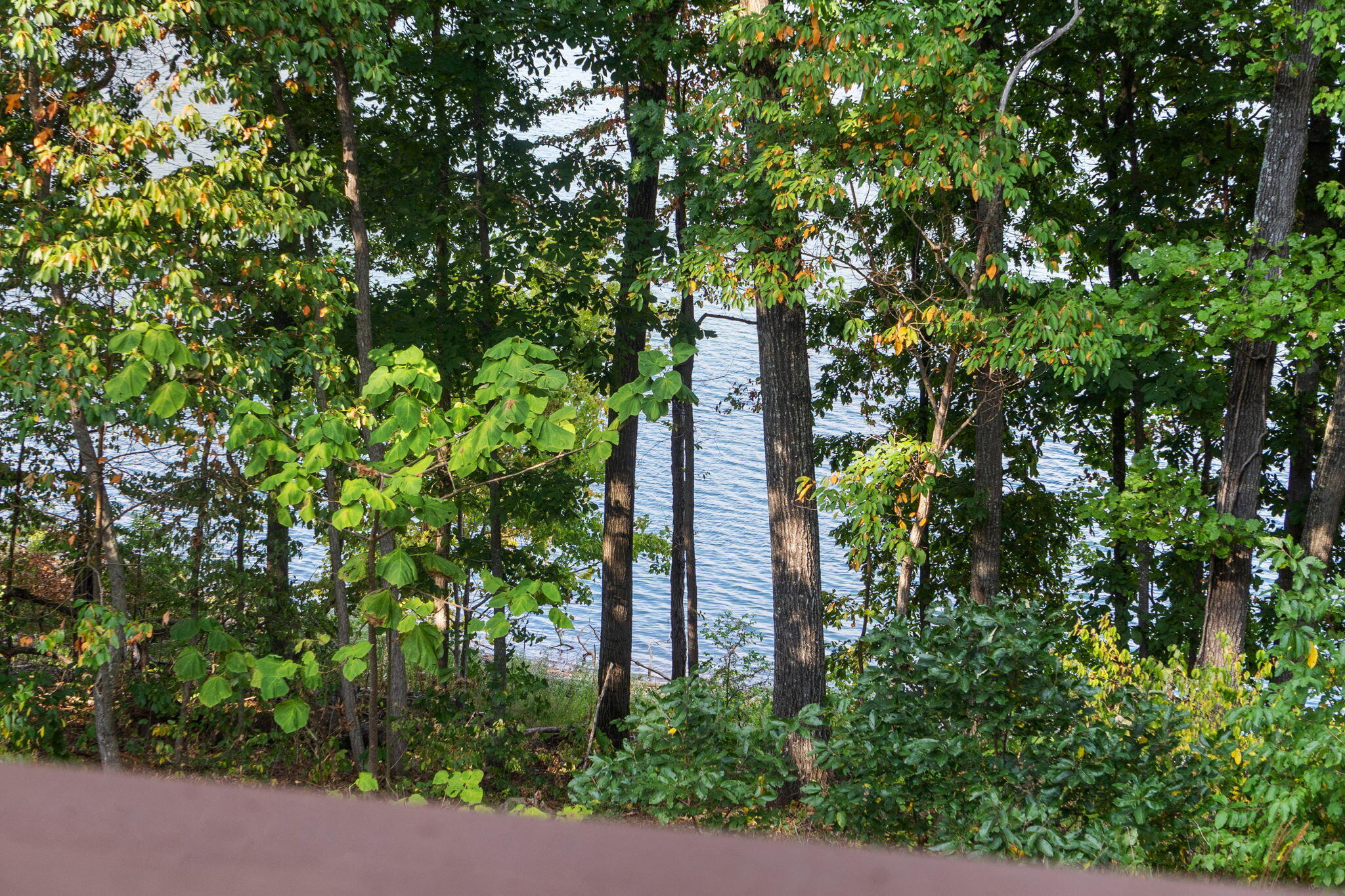 24138 Mustang Lane Property Photo 50