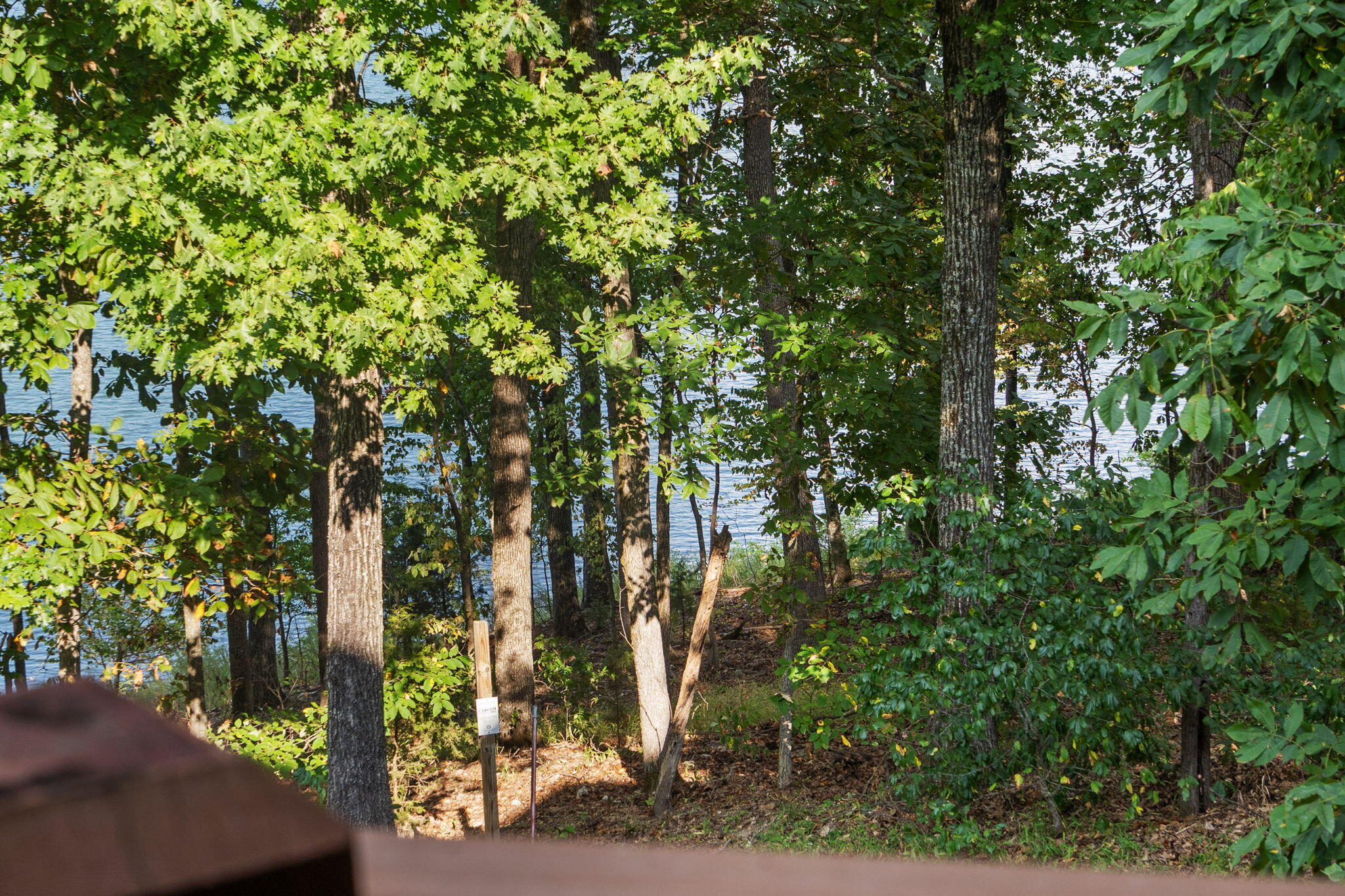 24138 Mustang Lane Property Photo 51