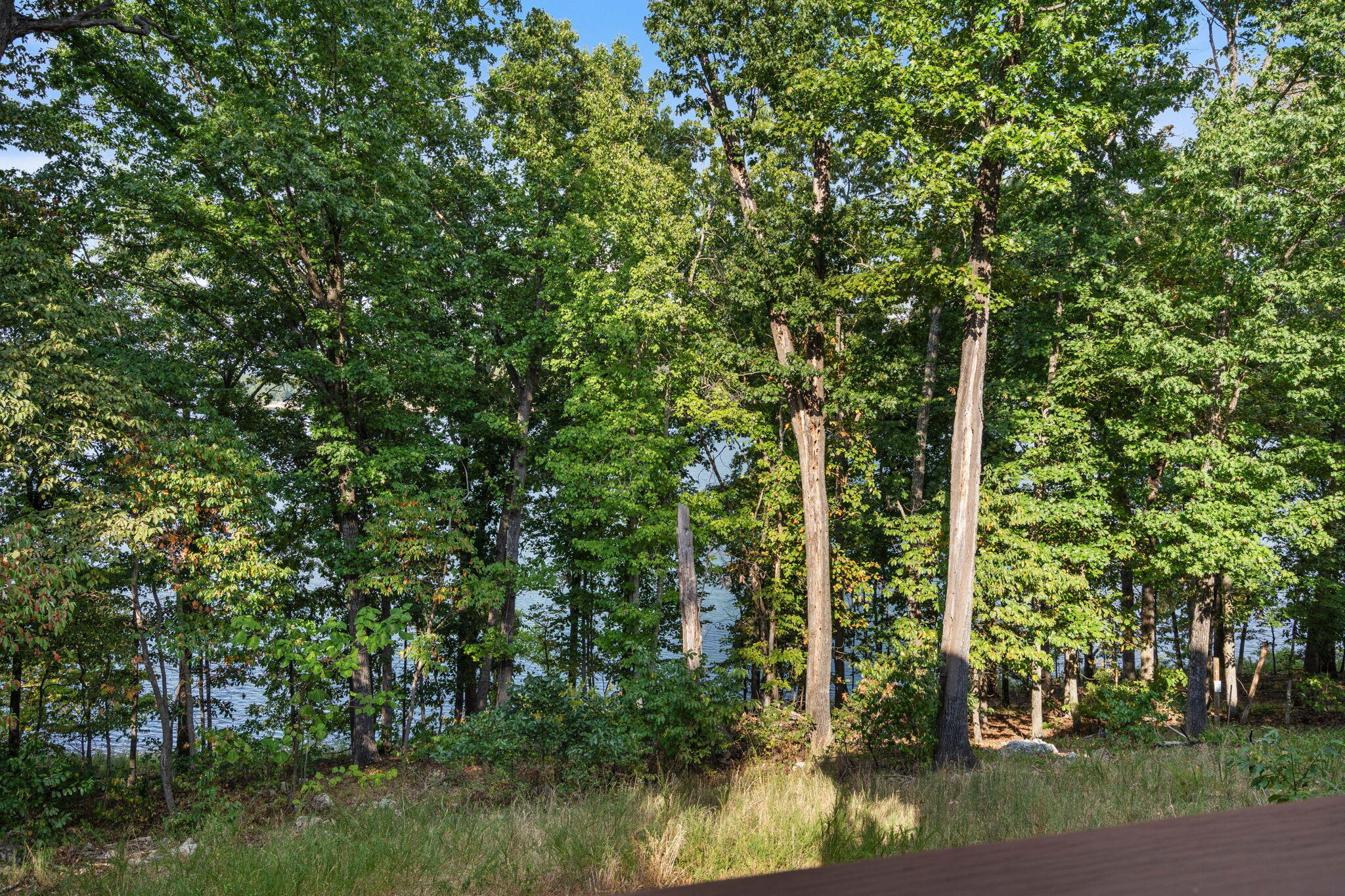 24138 Mustang Lane Property Photo 52
