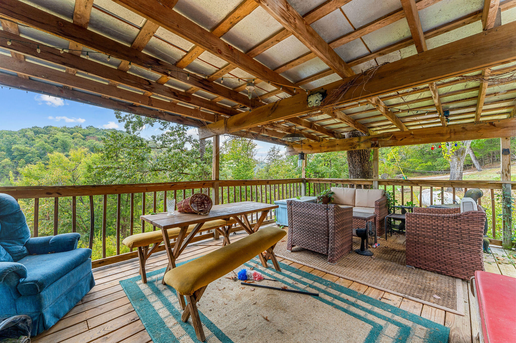 291 Missouri 176 Property Photo 18