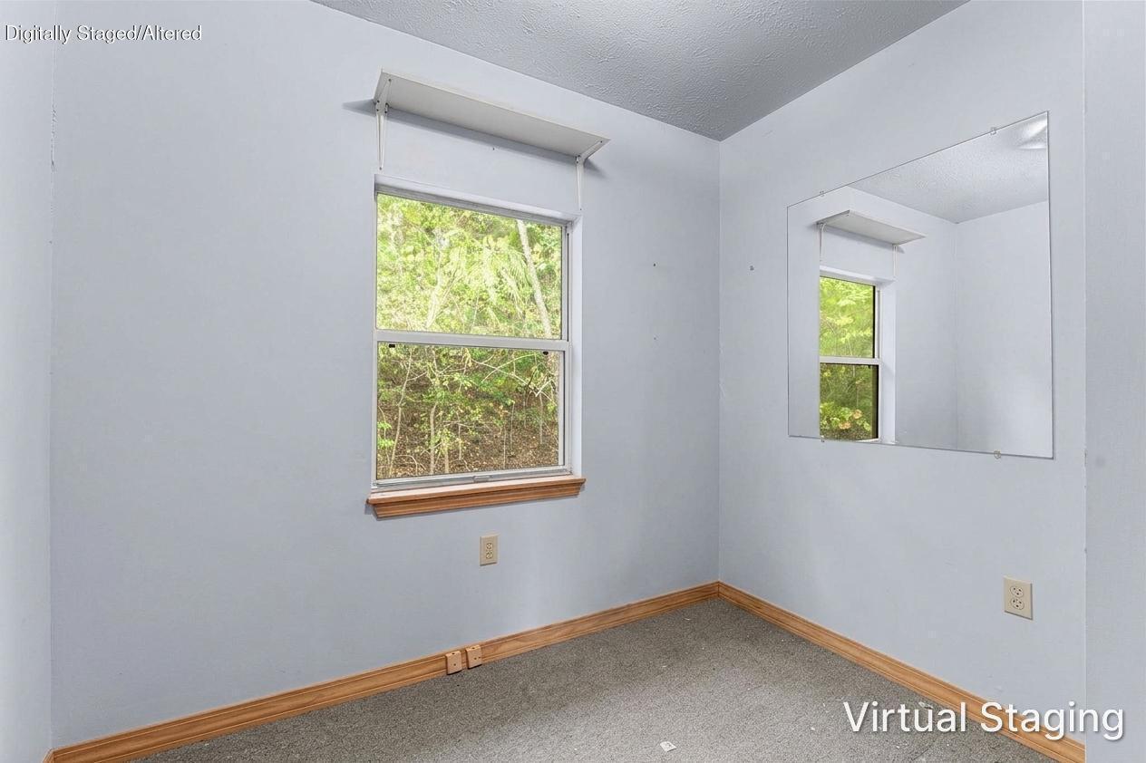 291 Missouri 176 Property Photo 35