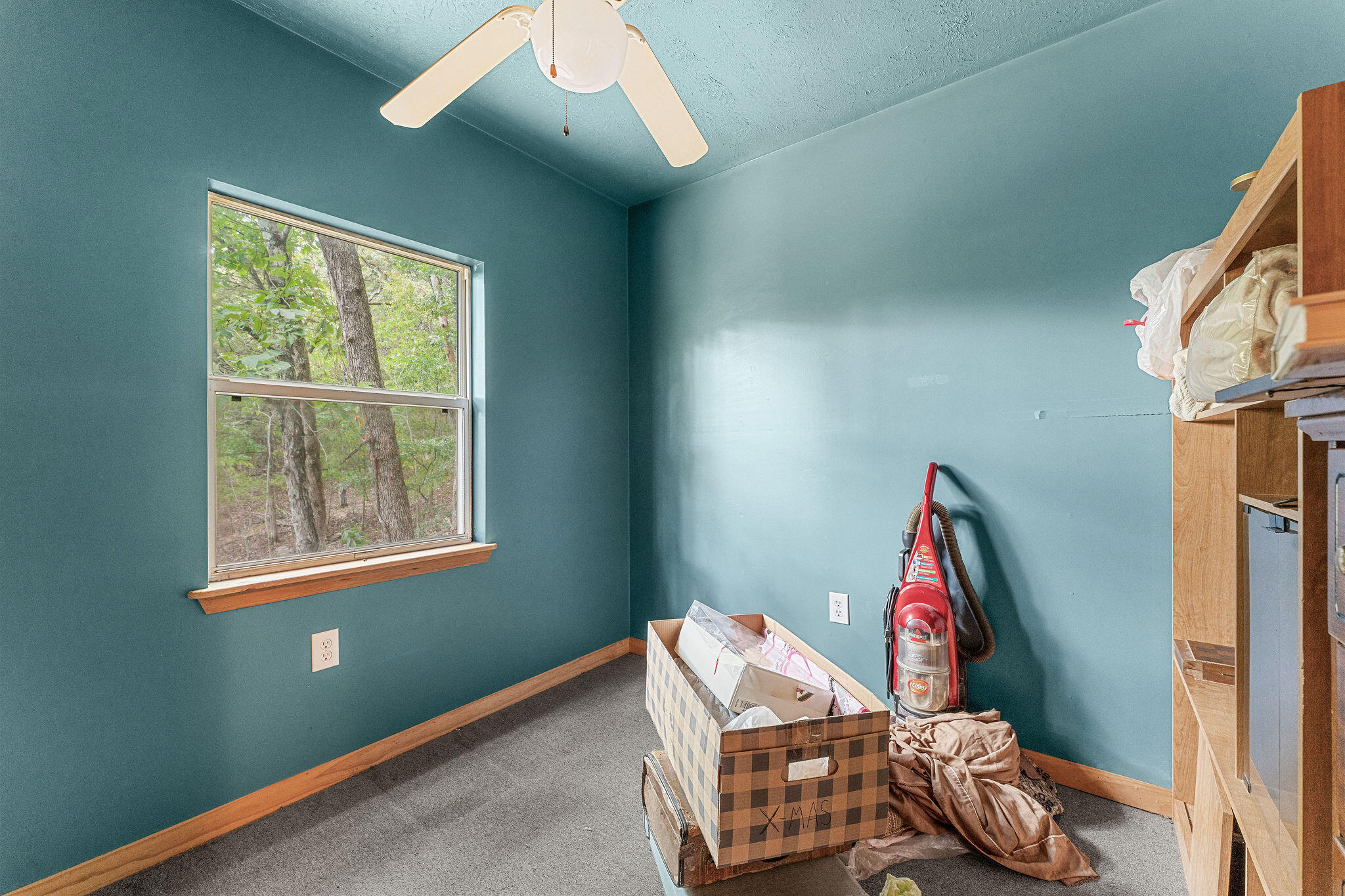 291 Missouri 176 Property Photo 62