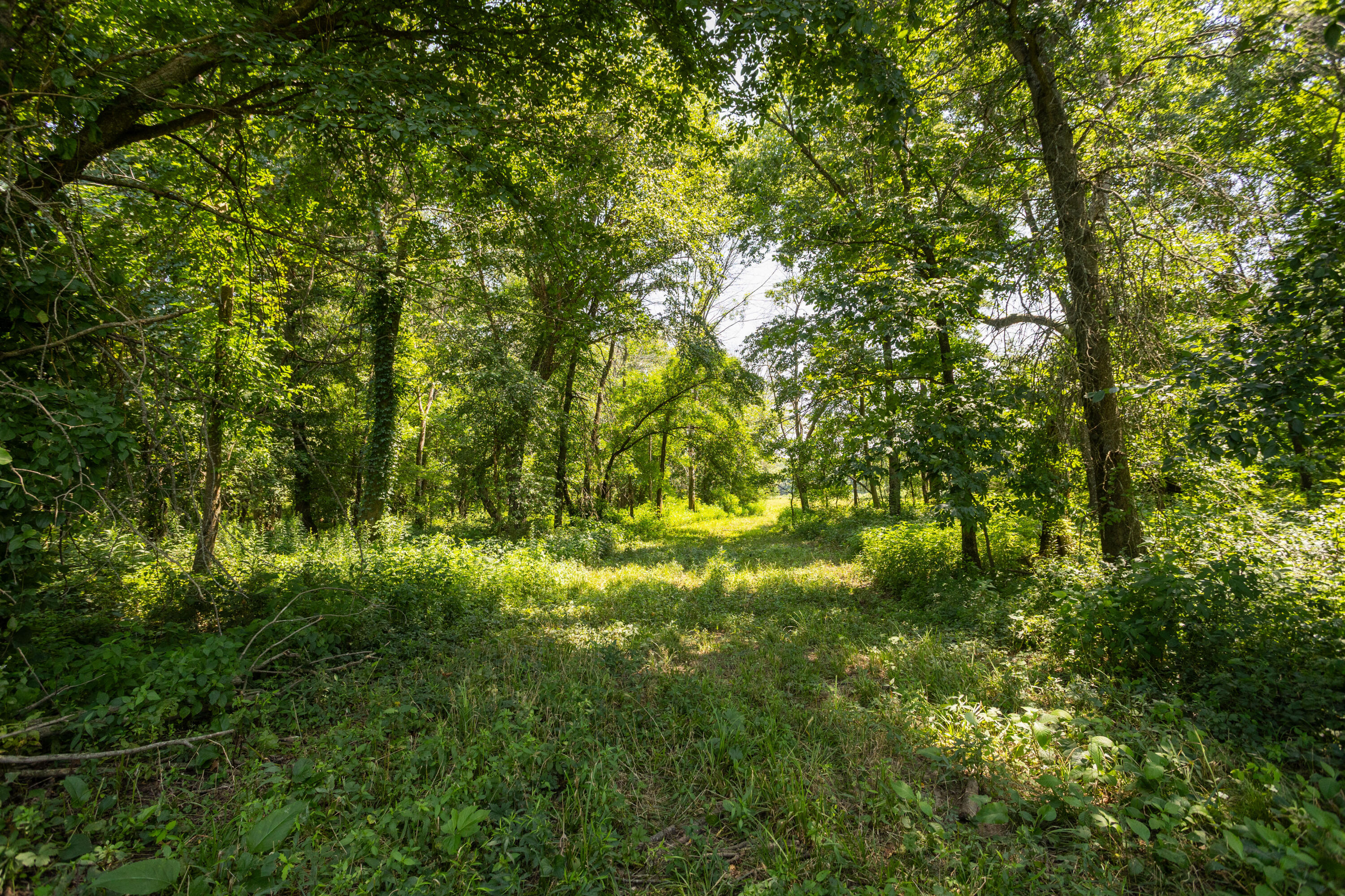 1059 Northeast 100th Road Property Photo 103