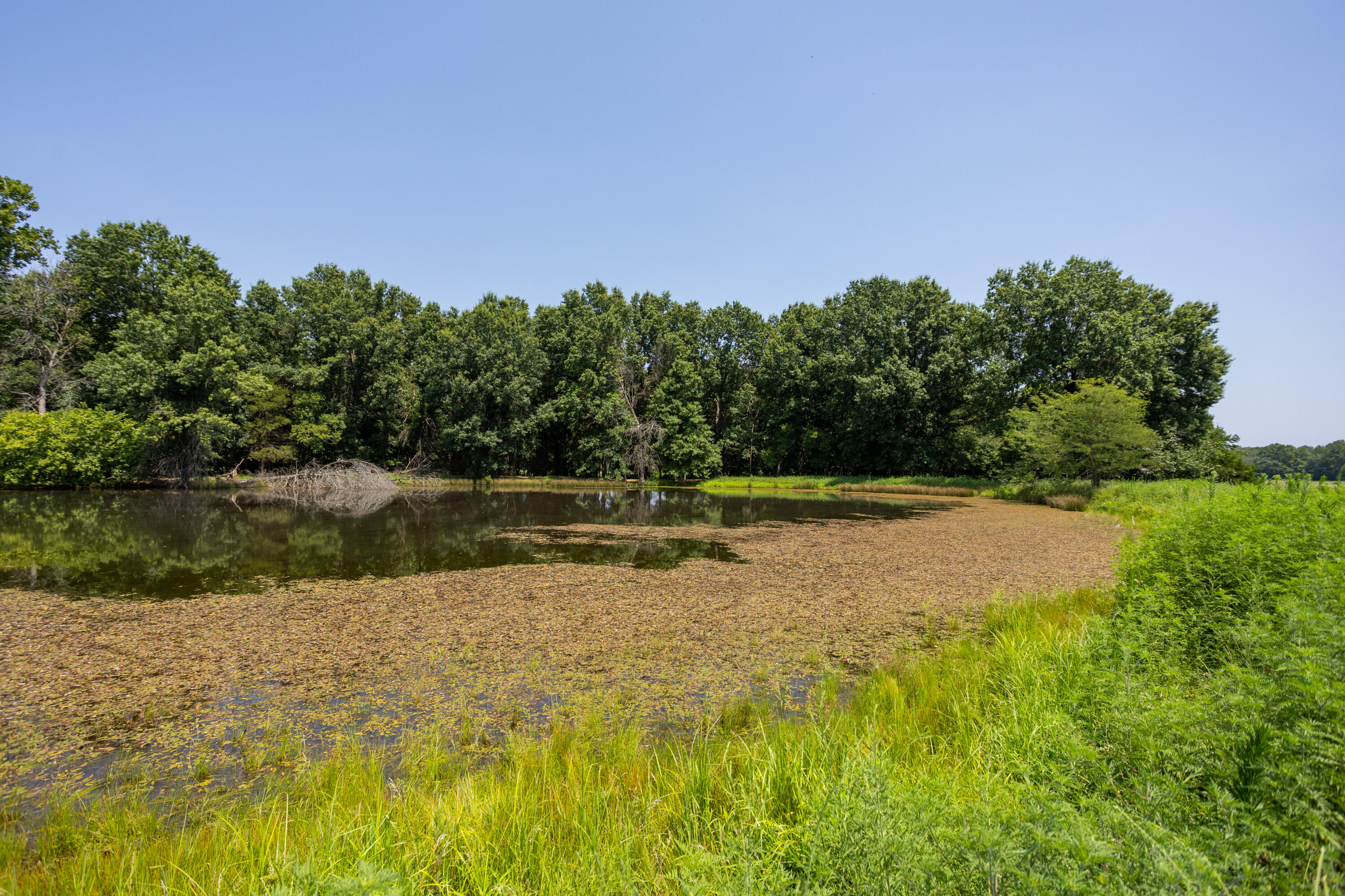 1059 Northeast 100th Road Property Photo 106