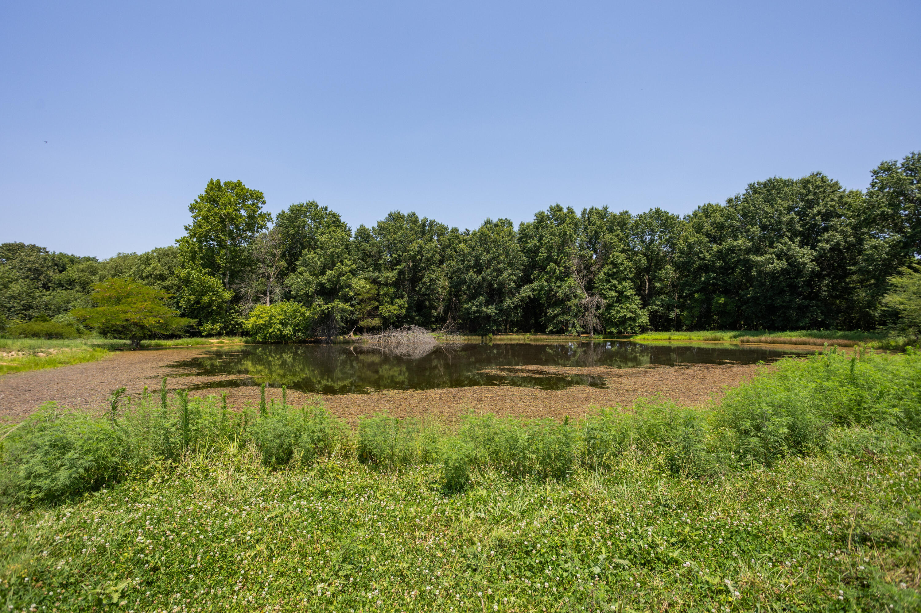 1059 Northeast 100th Road Property Photo 107