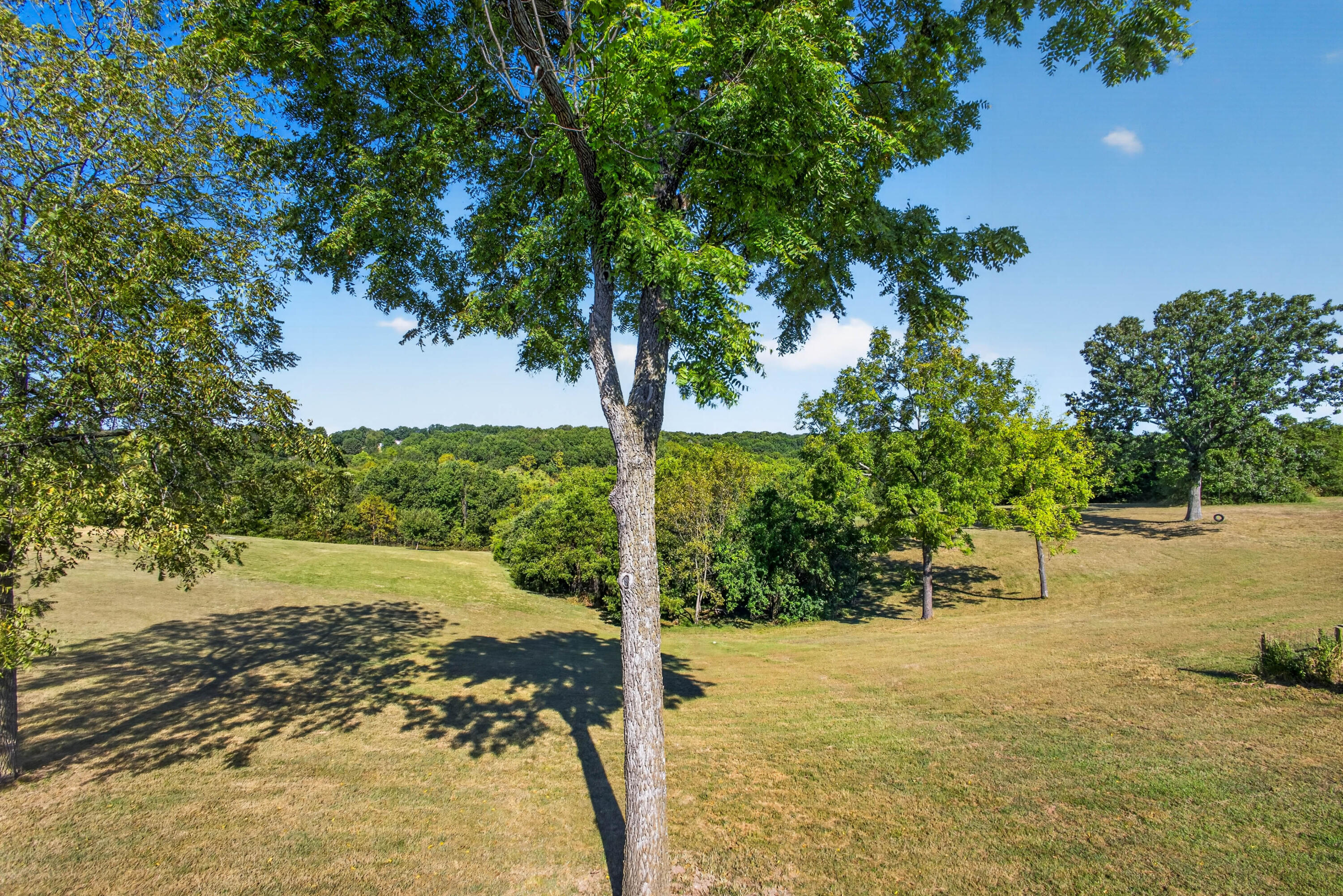 495 Bear Ridge Property Photo 46