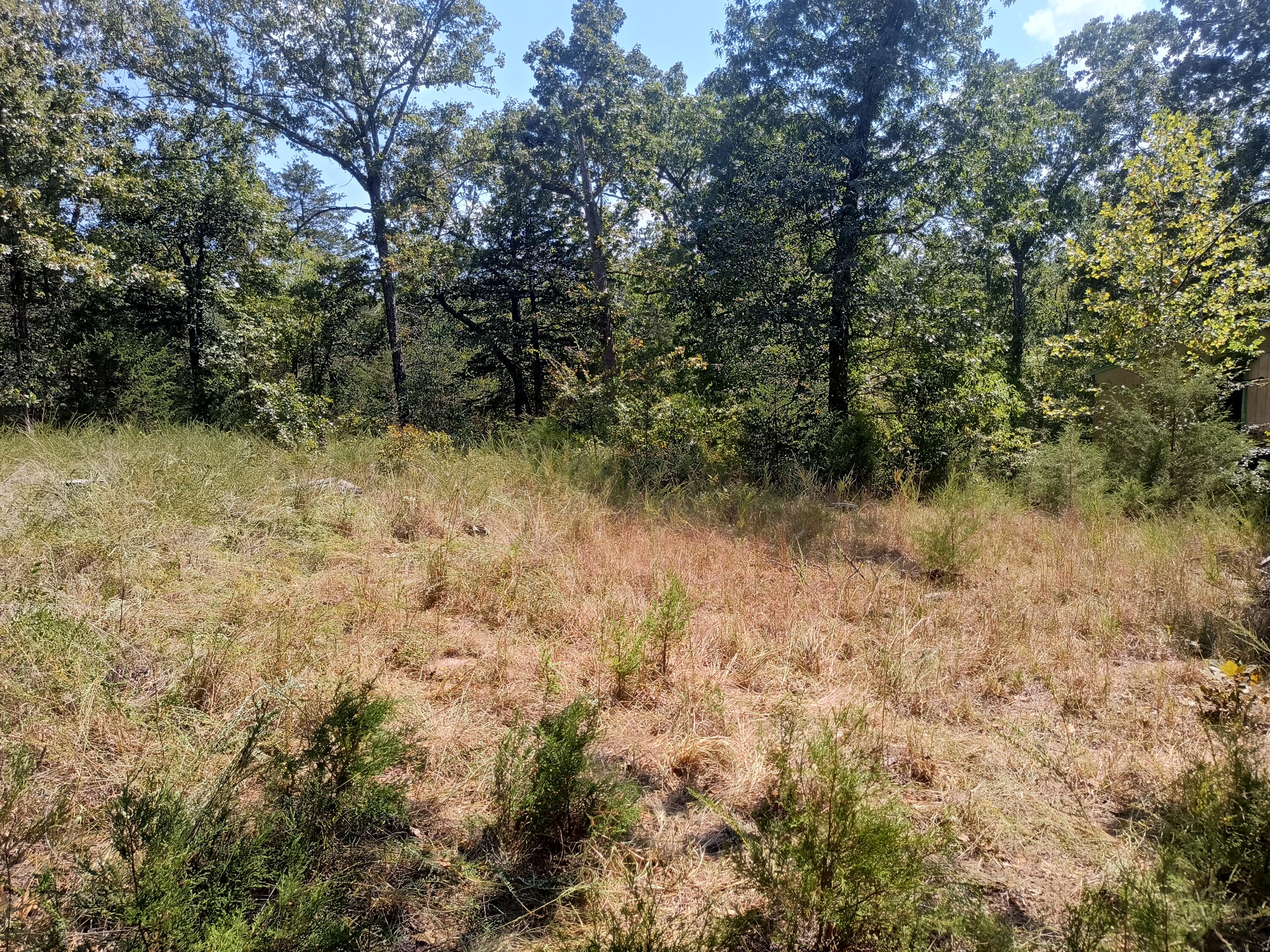 000 California Lane Property Photo 2