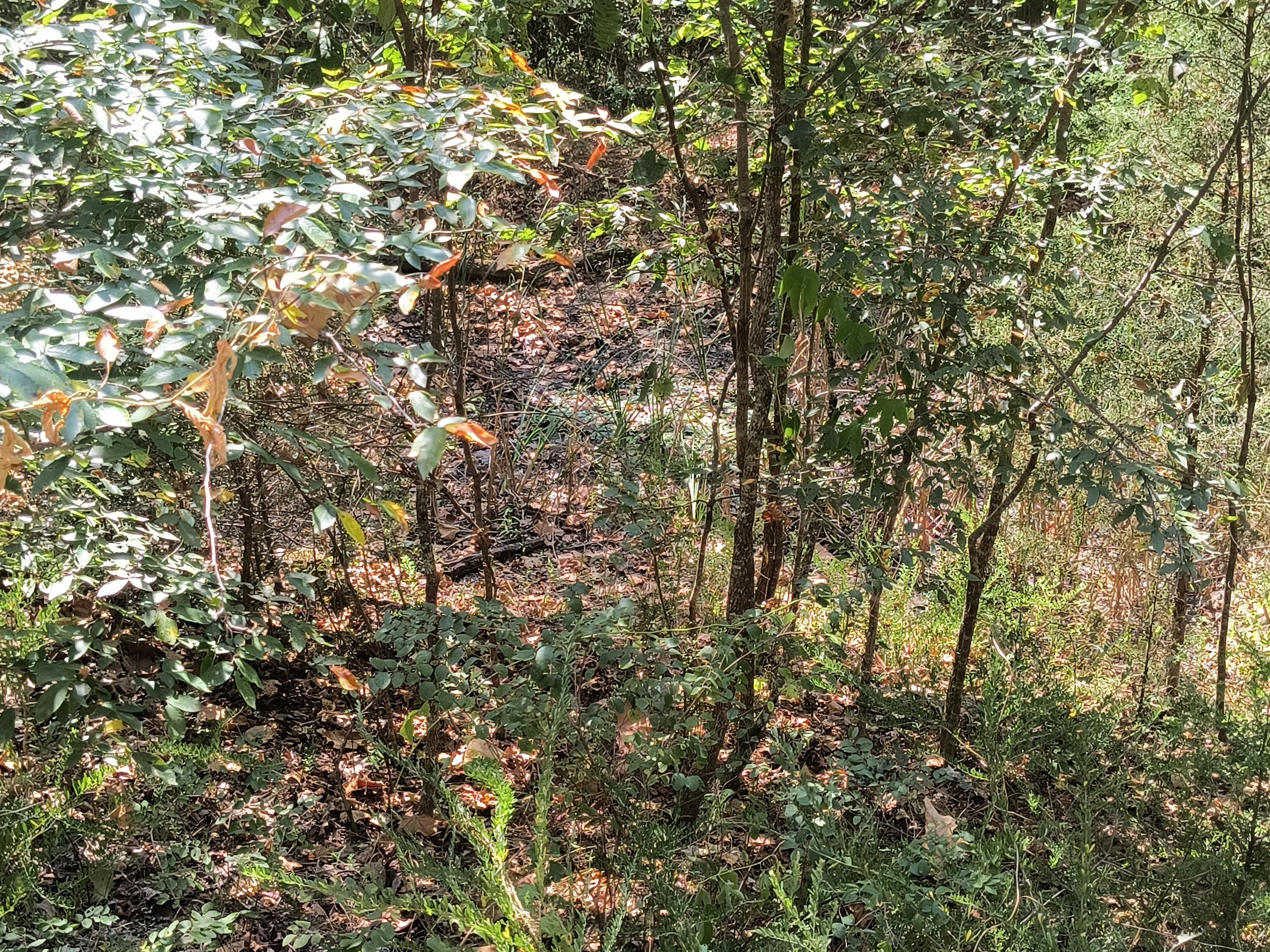 000 California Lane Property Photo 3