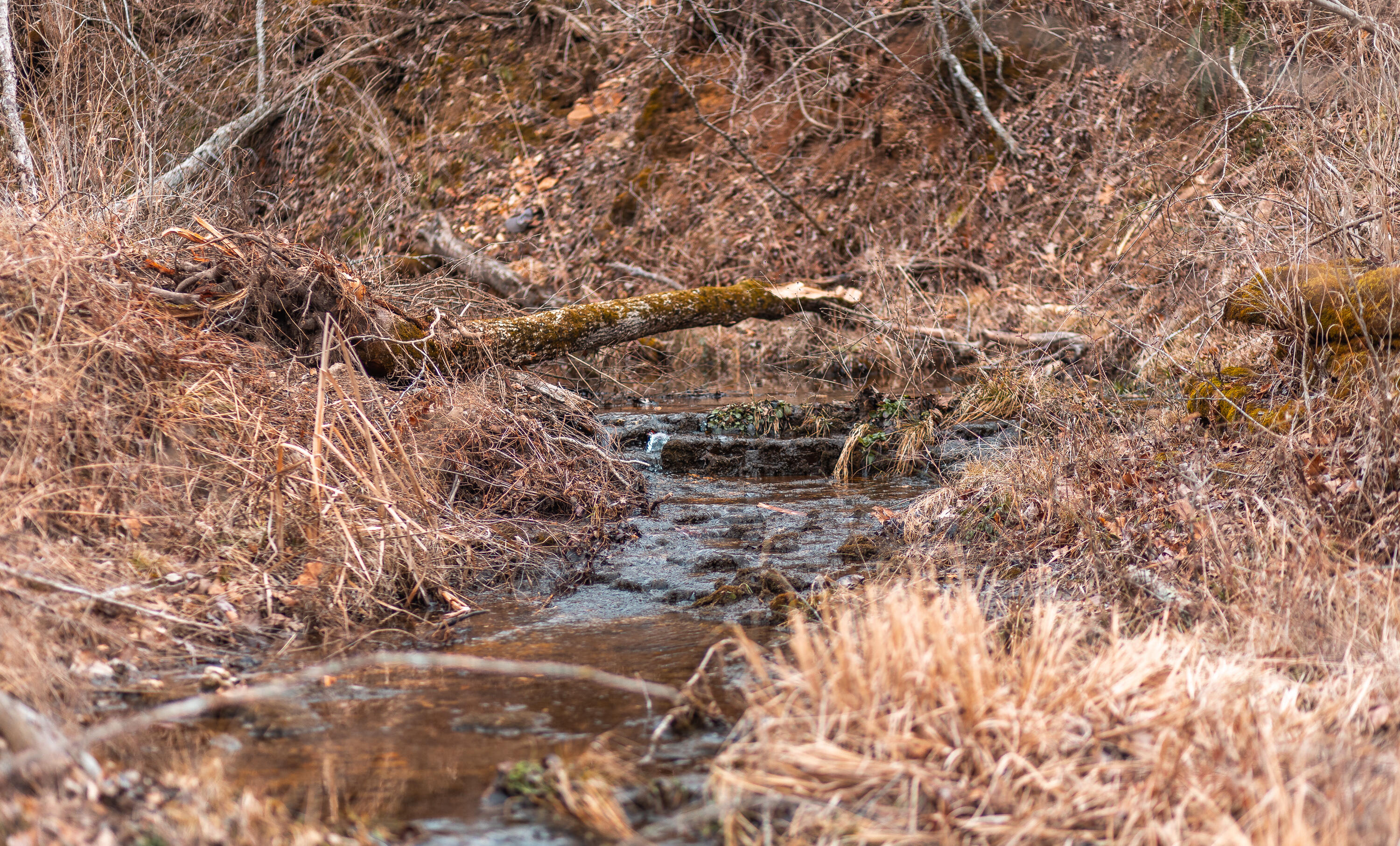 000 Pool Holler Cave Road Property Photo 17