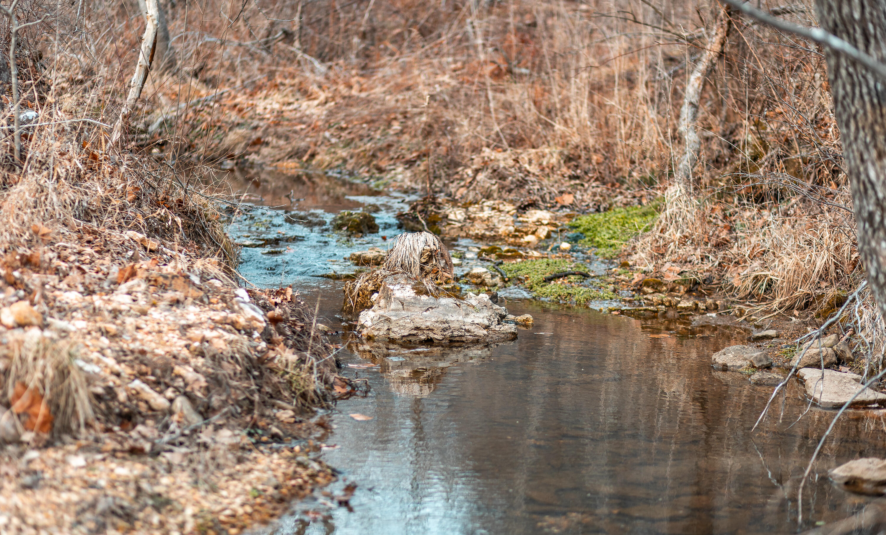 000 Pool Holler Cave Road Property Photo 18