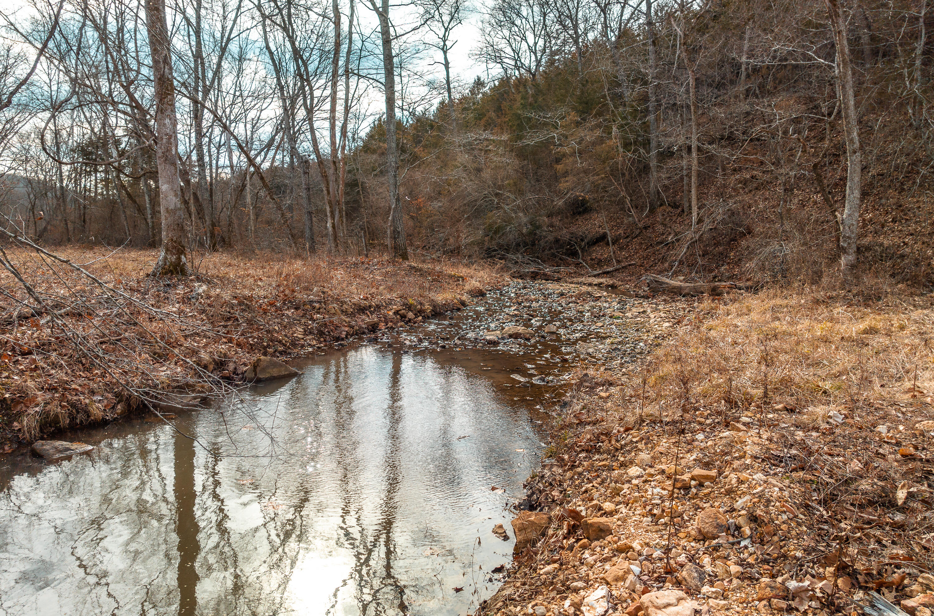 000 Pool Holler Cave Road Property Photo 19