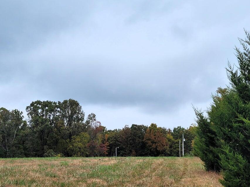 000 Hawknest Trail Property Photo 3