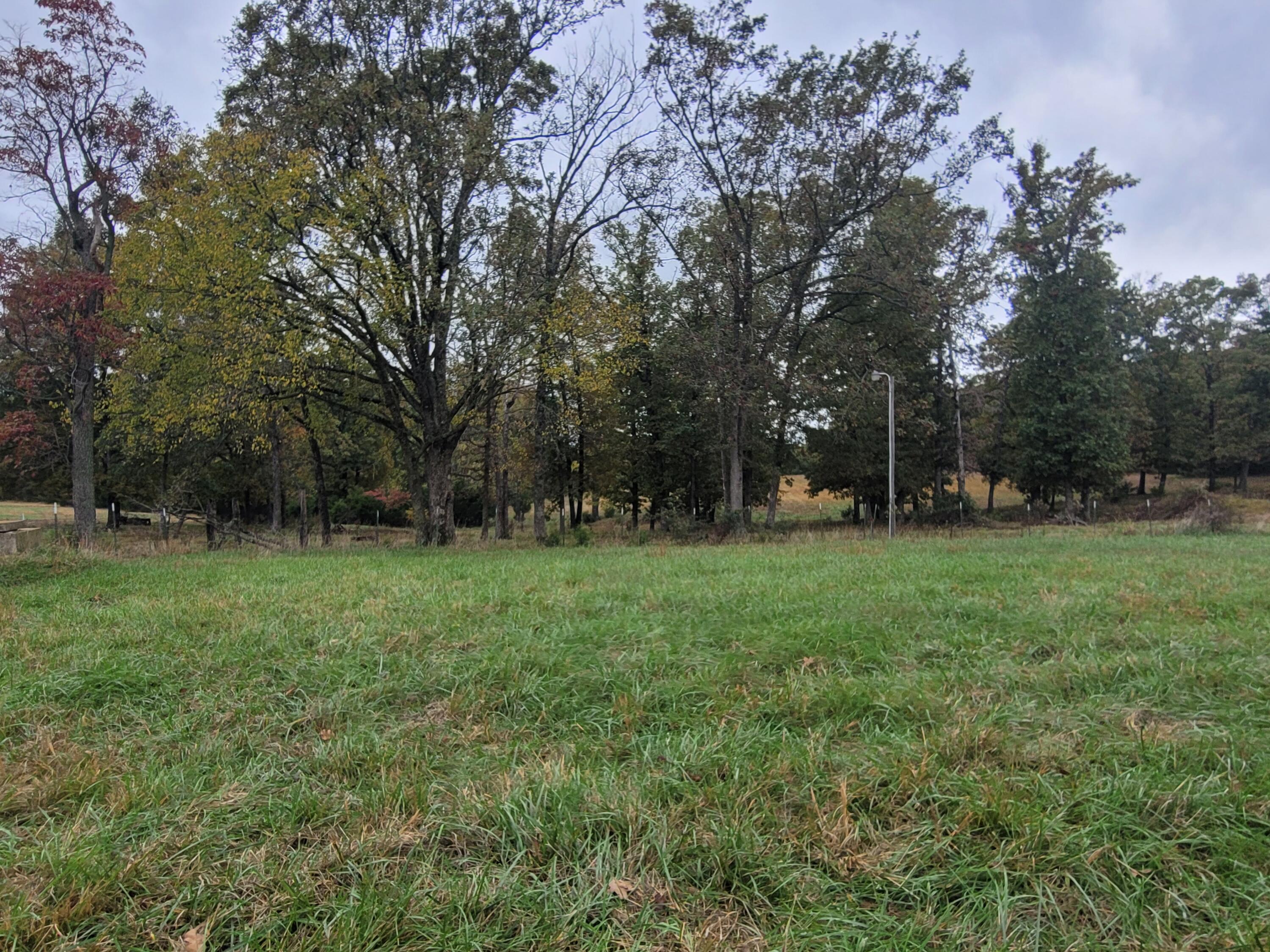 000 Hawknest Trail Property Photo 6