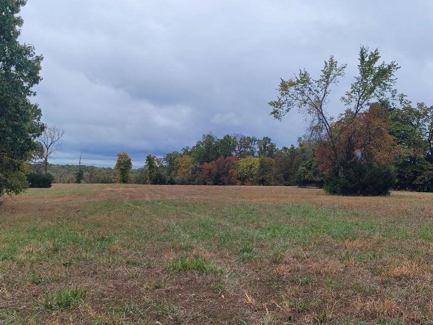 000 Hawknest Trail Property Photo 7