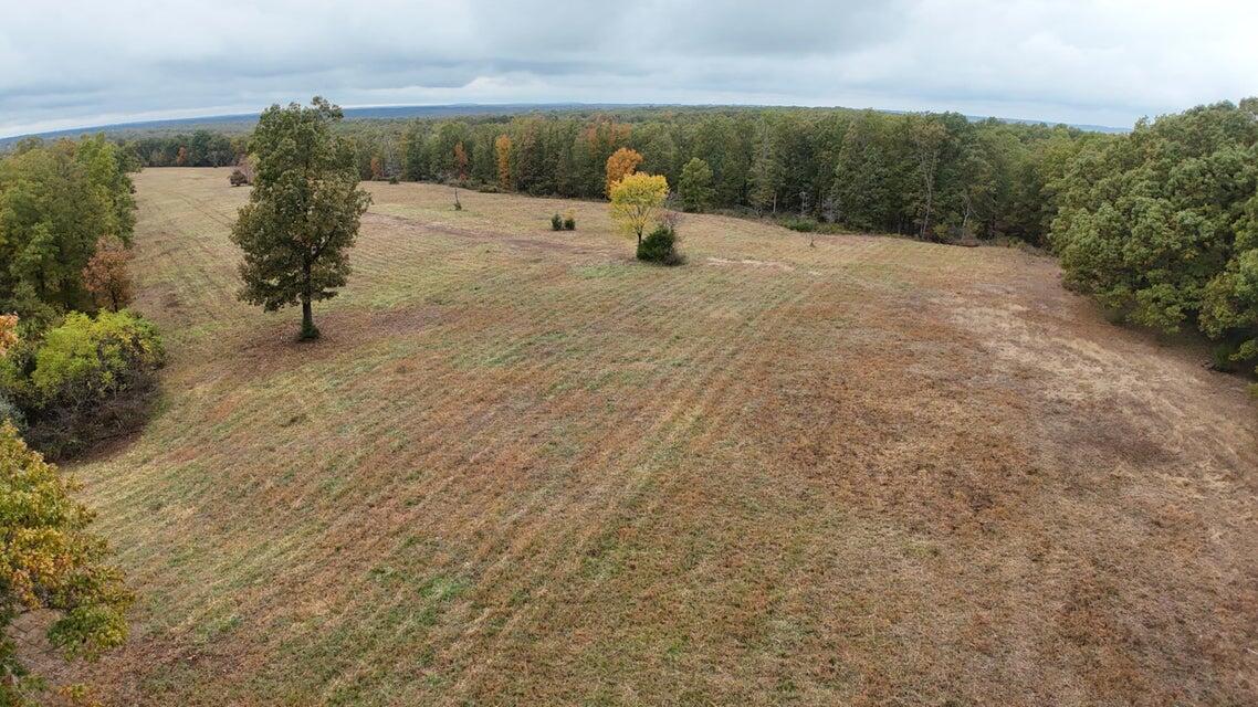 000 Hawknest Trail Property Photo 9