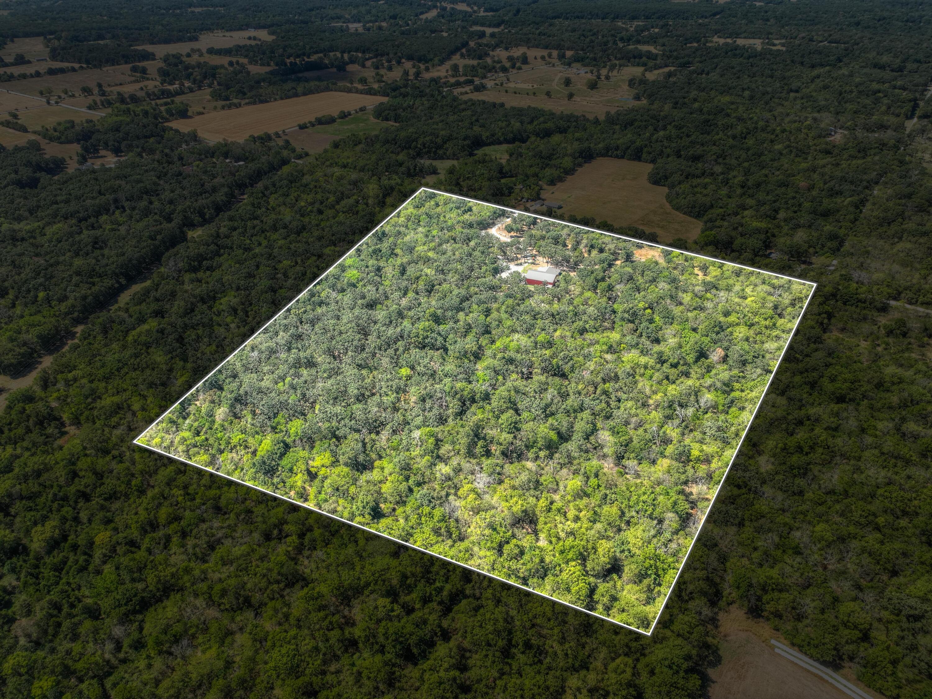 8309 Nighthawk Road Property Photo 49