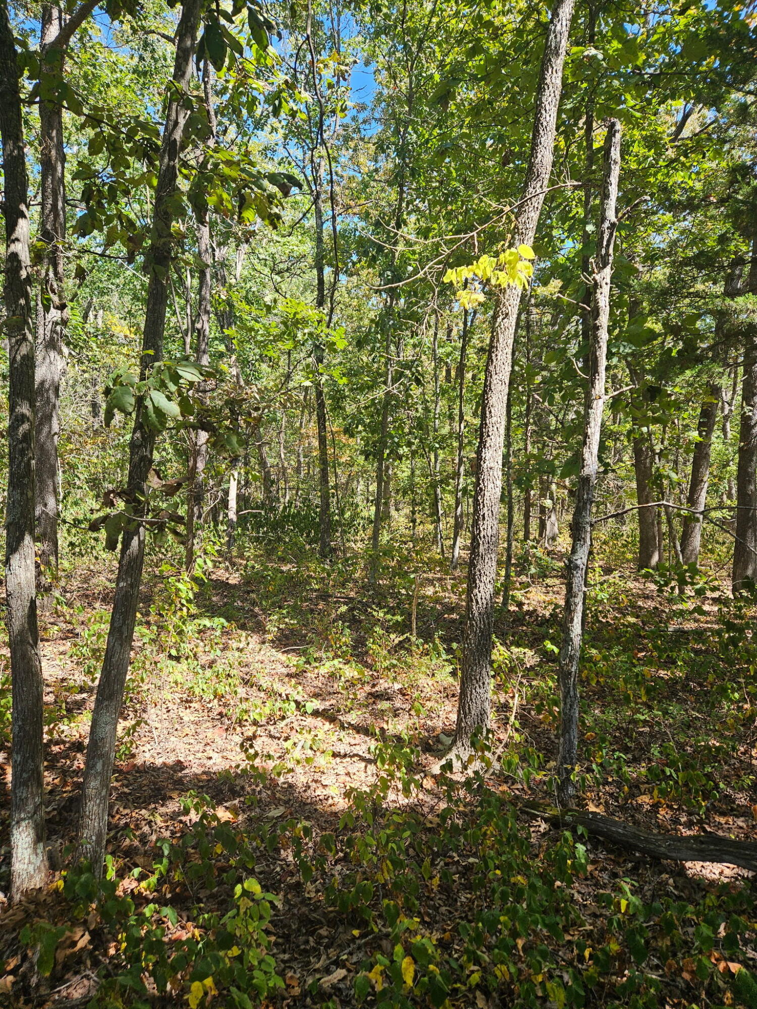 000 Highway U Property Photo 4