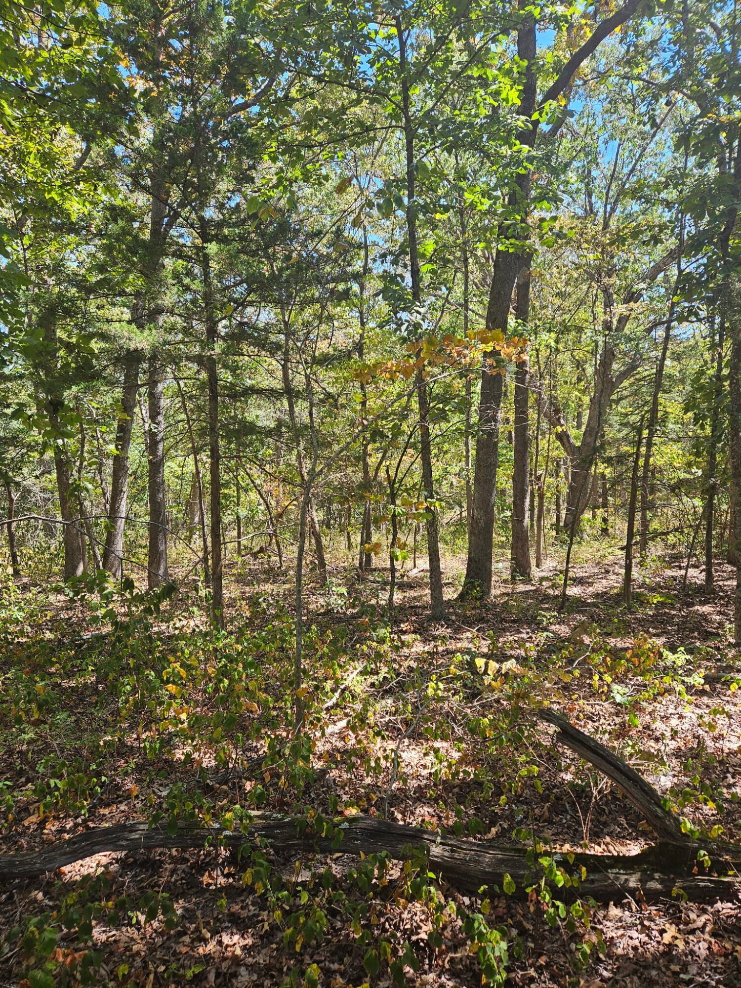 000 Highway U Property Photo 5