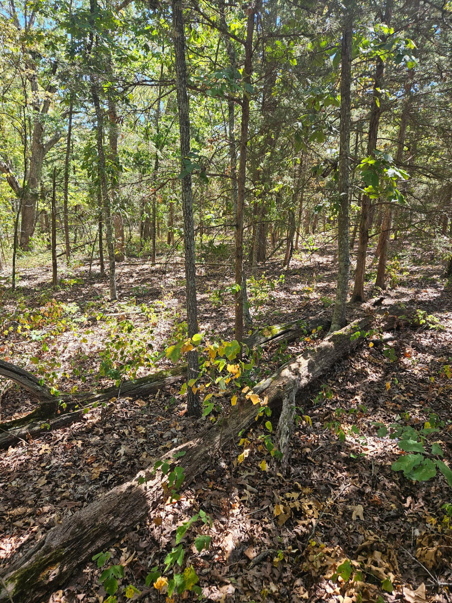 000 Highway U Property Photo 6