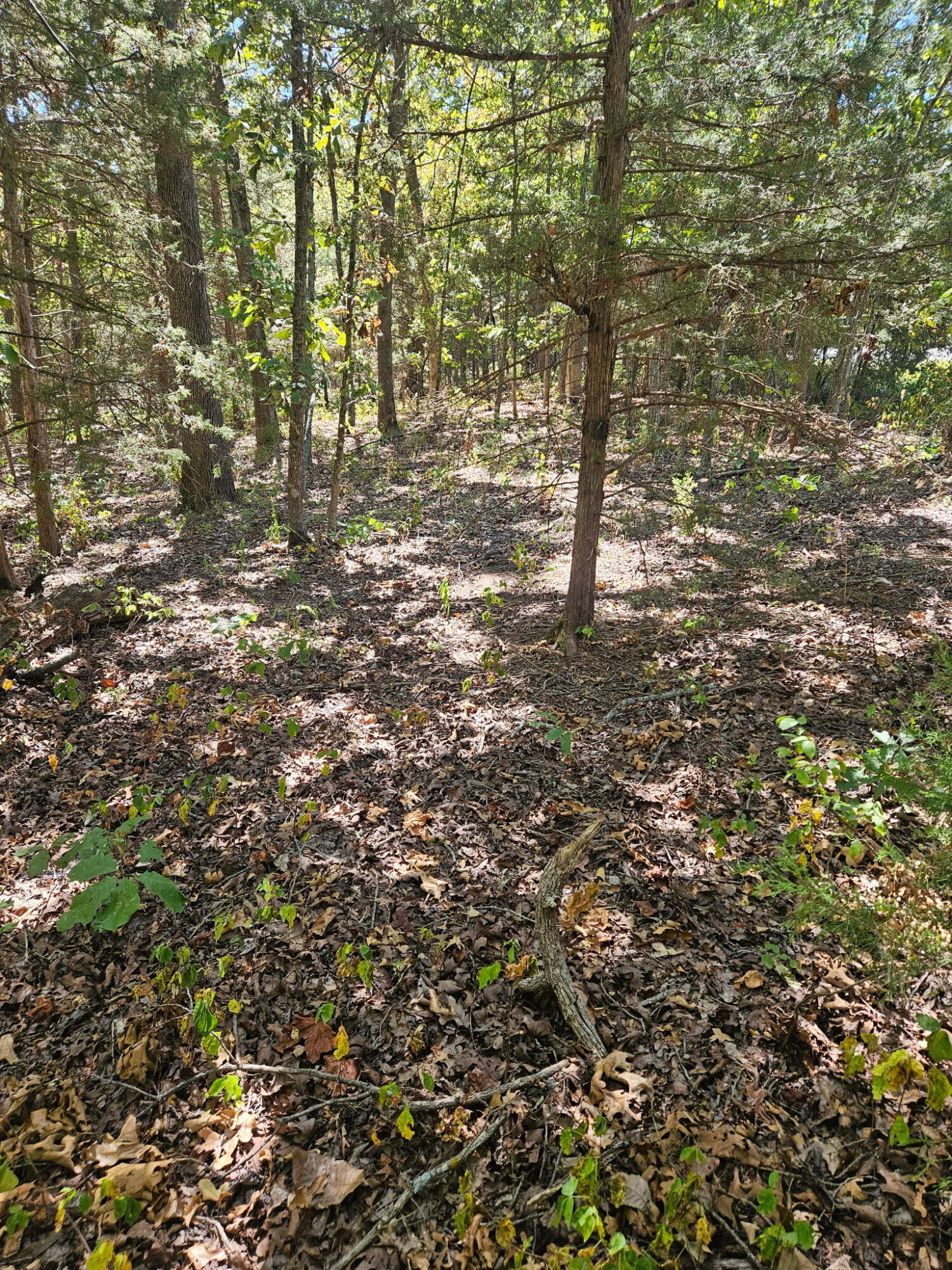 000 Highway U Property Photo 7