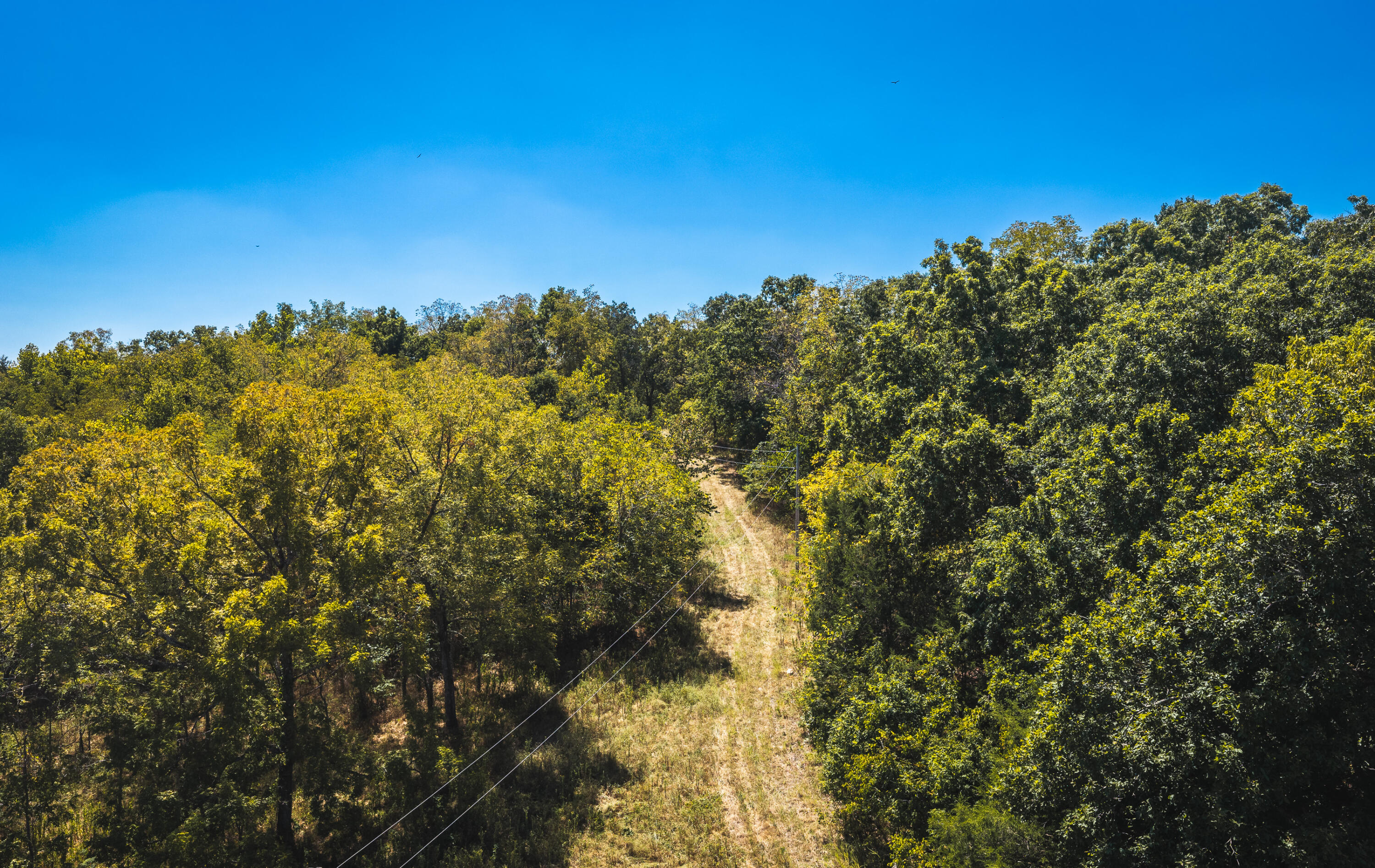 000 Missouri Road Mm Property Photo 4