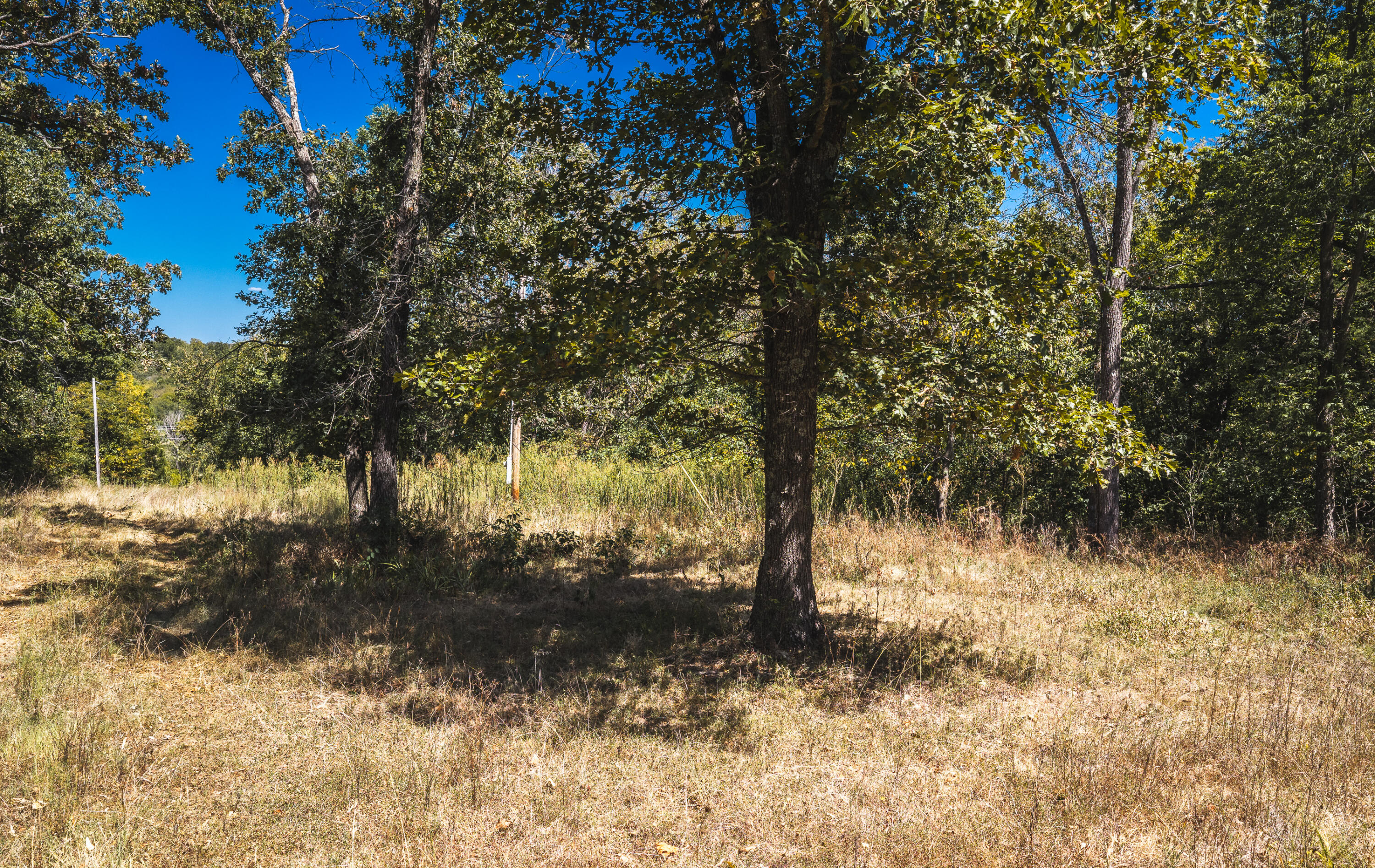 000 Missouri Road Mm Property Photo 11