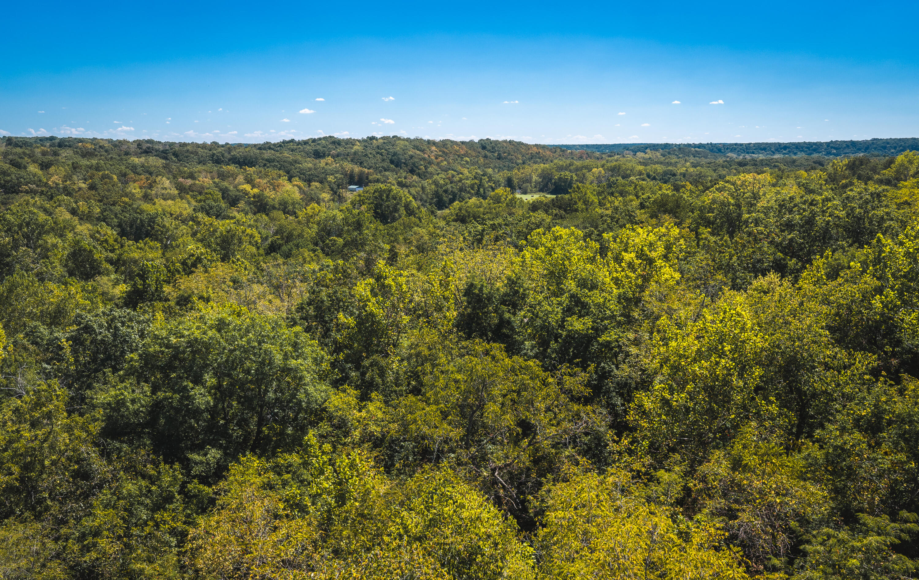000 Missouri Road Mm Property Photo 14