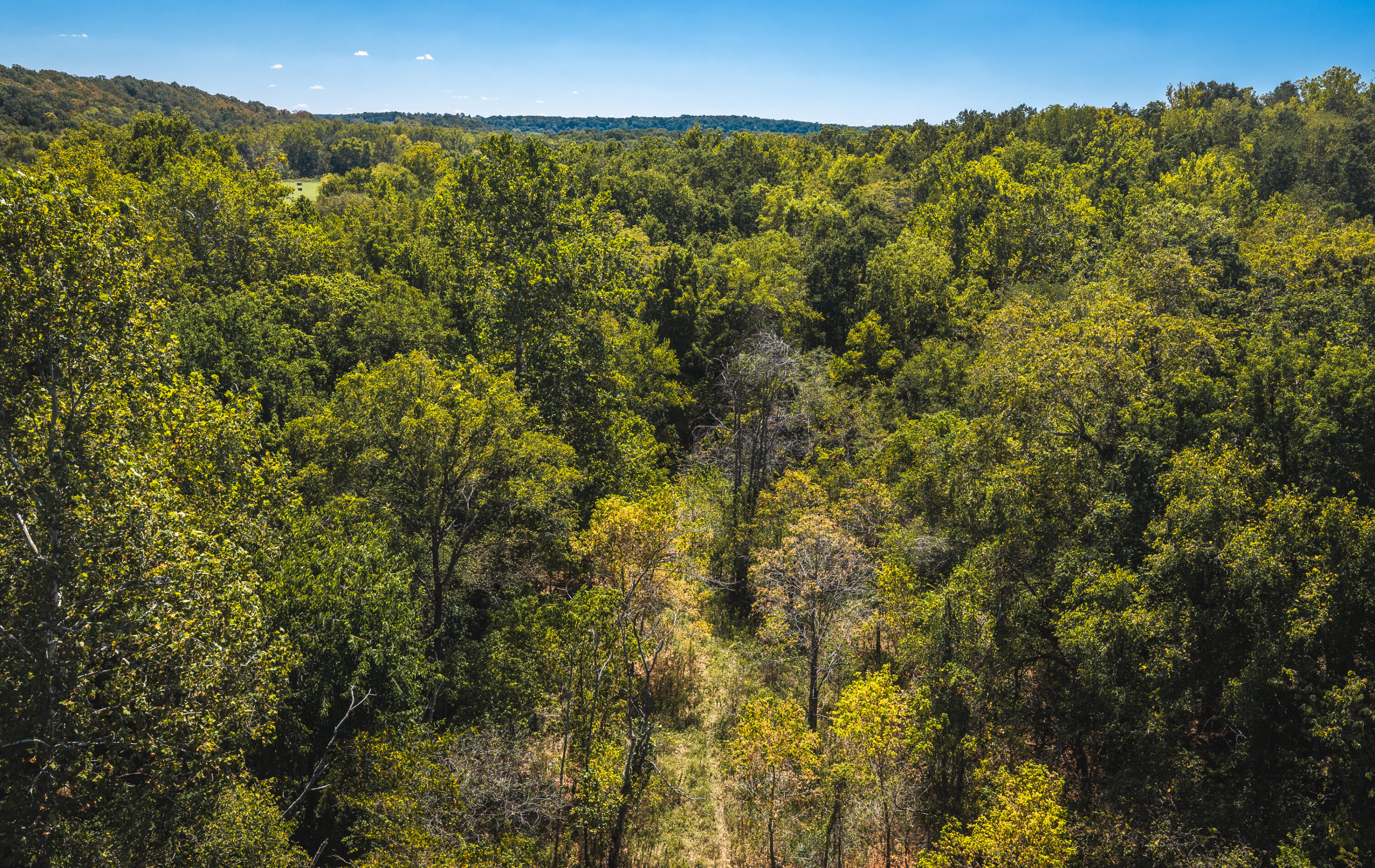 000 Missouri Road Mm Property Photo 16