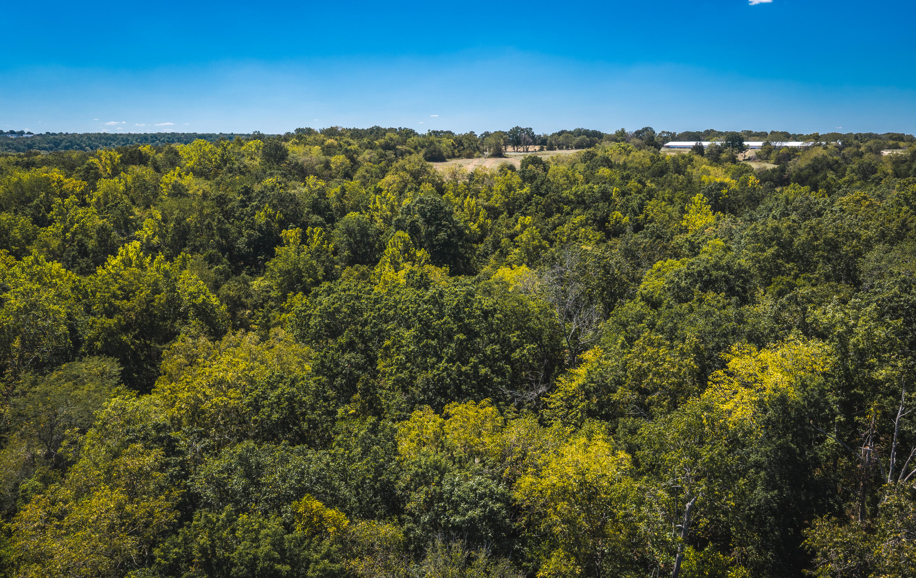 000 Missouri Road Mm Property Photo 17