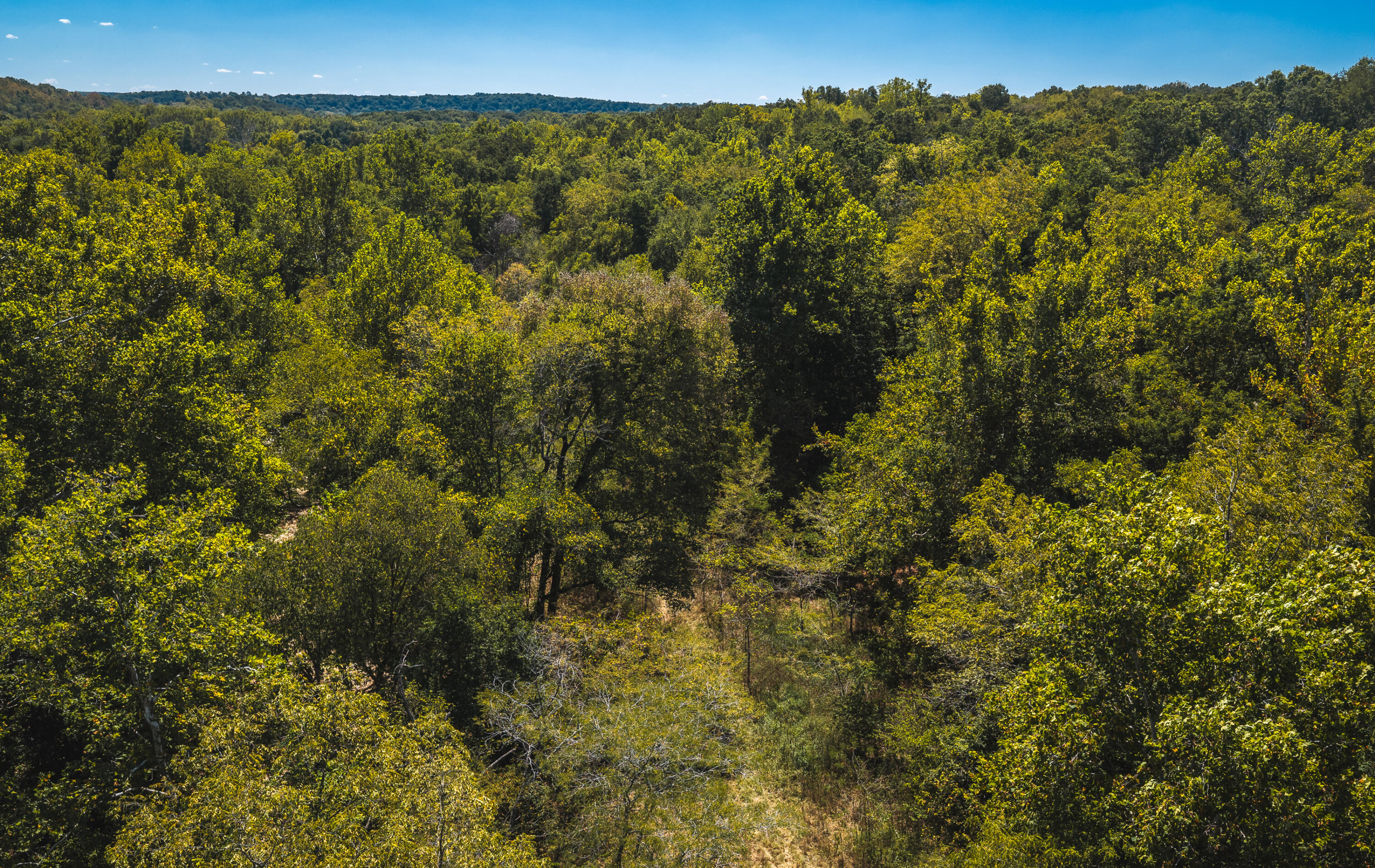 000 Missouri Road Mm Property Photo 23