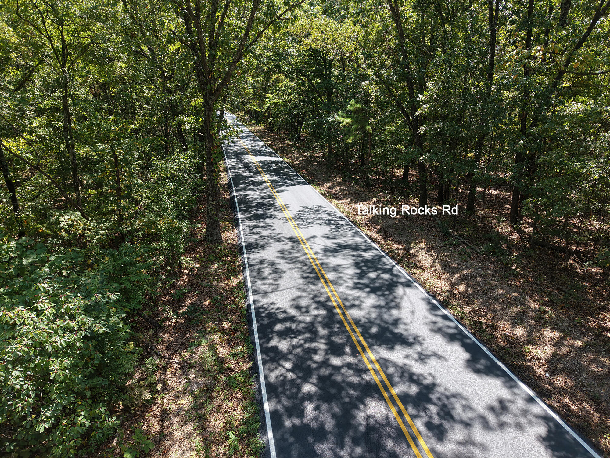 62 Seldom Seen Lane Property Photo 5