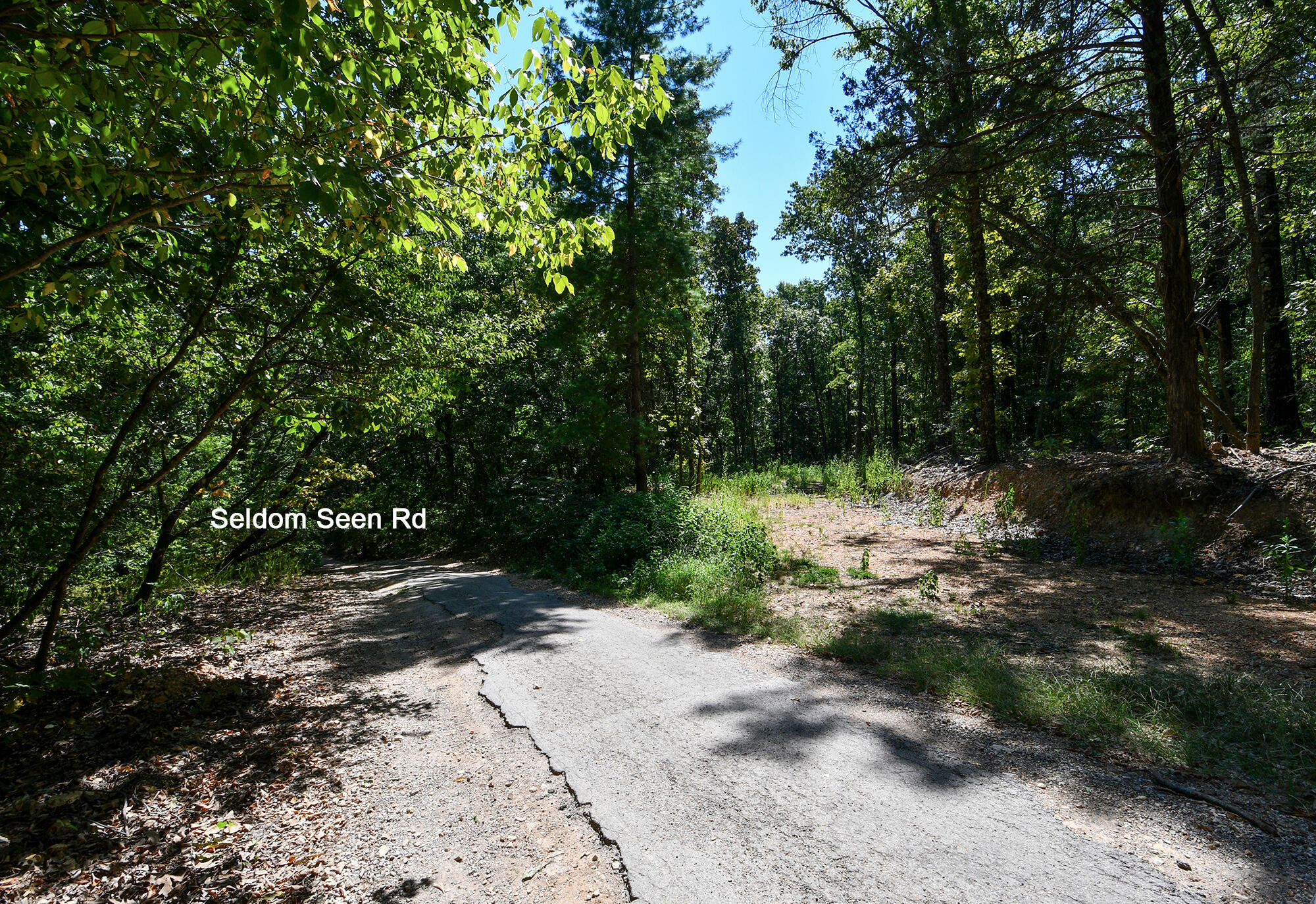62 Seldom Seen Lane Property Photo 7